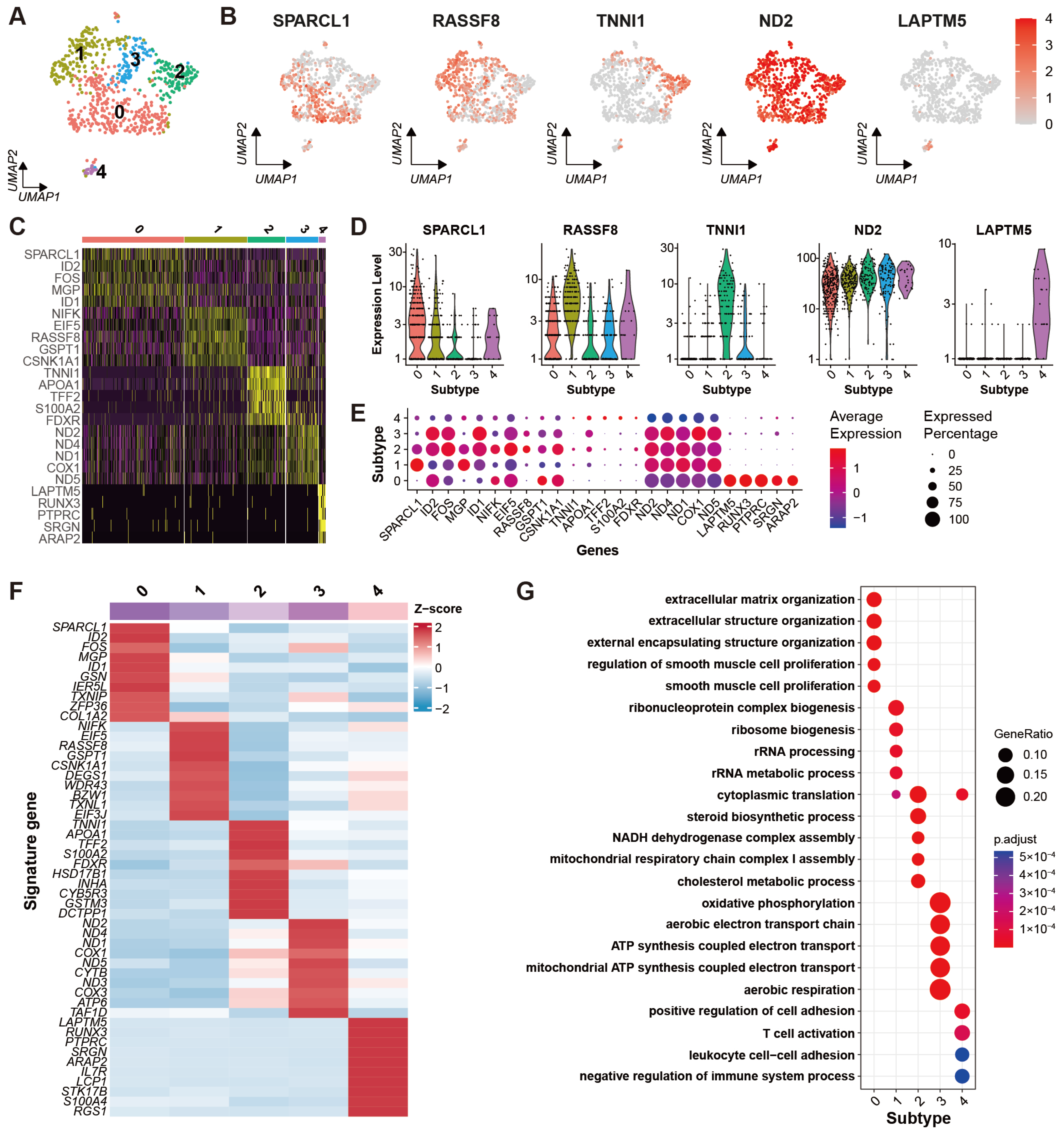 Ijms 24 01839 g005 Ijms 24 01839 g005