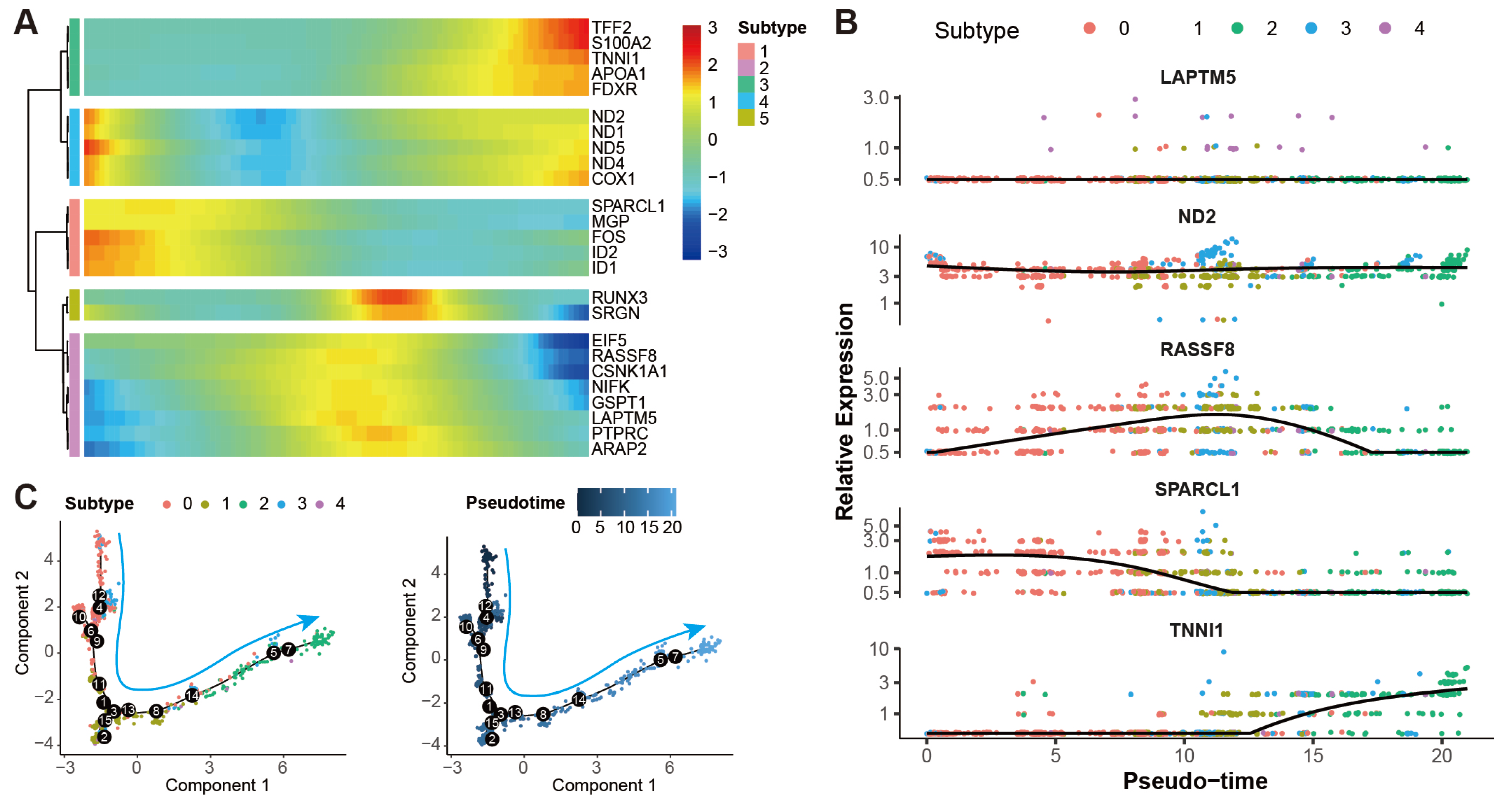 Ijms 24 01839 g006 Ijms 24 01839 g006