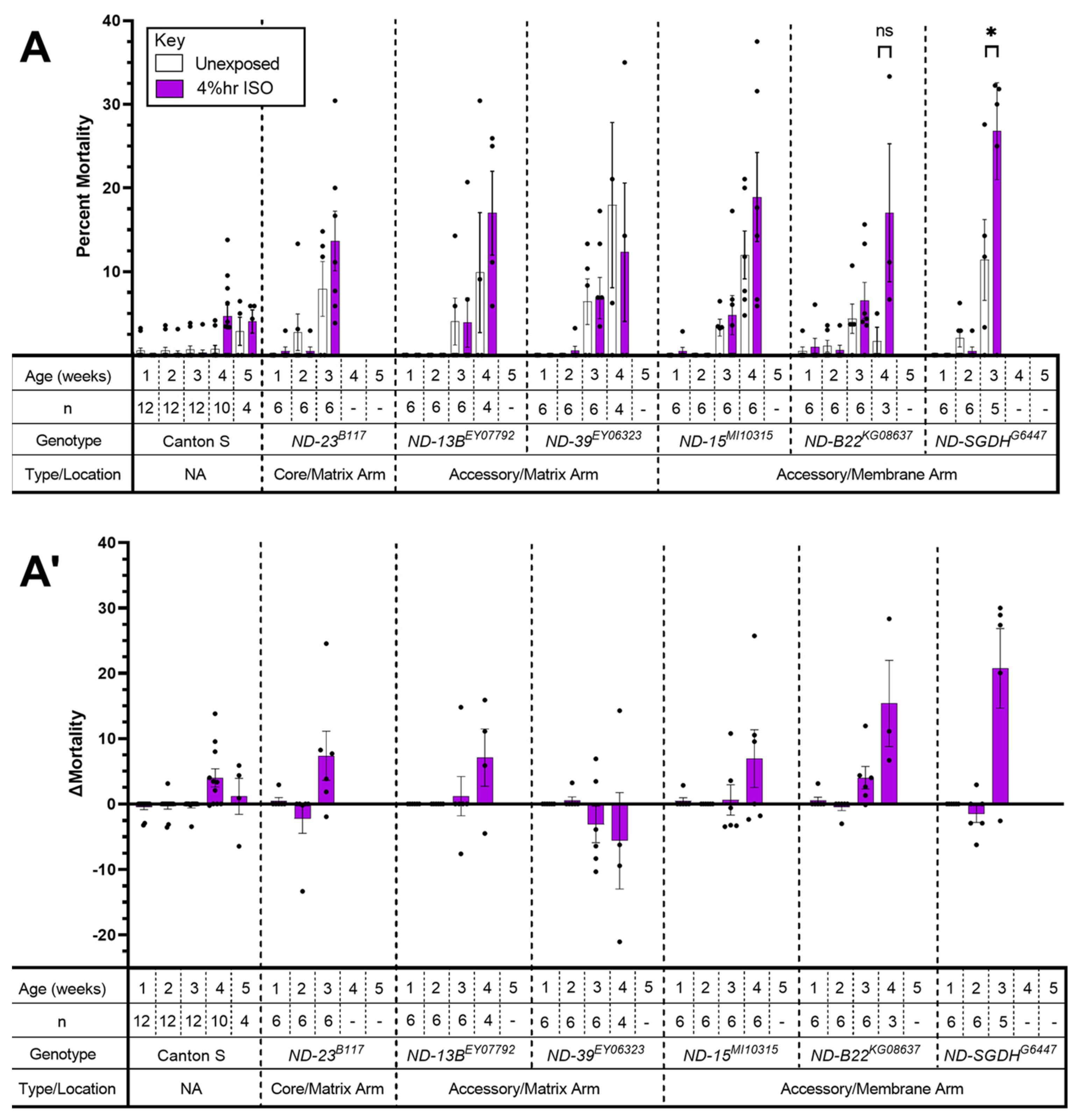 Ijms 24 01843 g003 Ijms 24 01843 g003