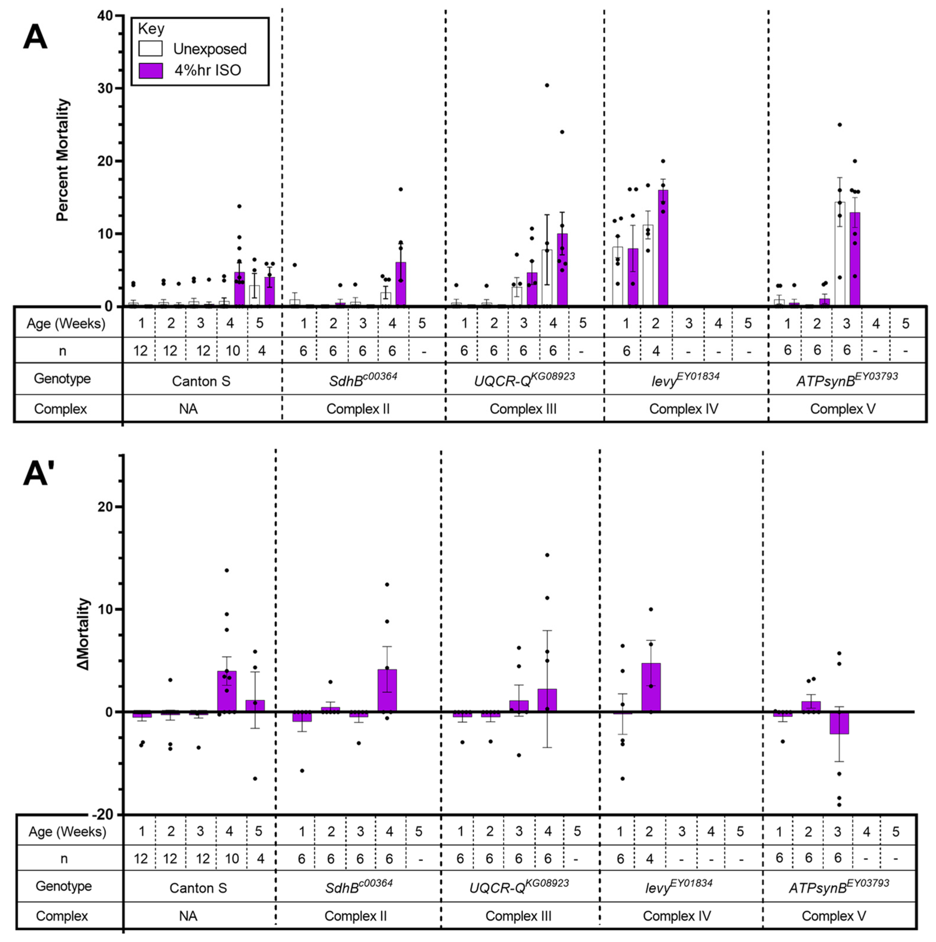 Ijms 24 01843 g005 Ijms 24 01843 g005