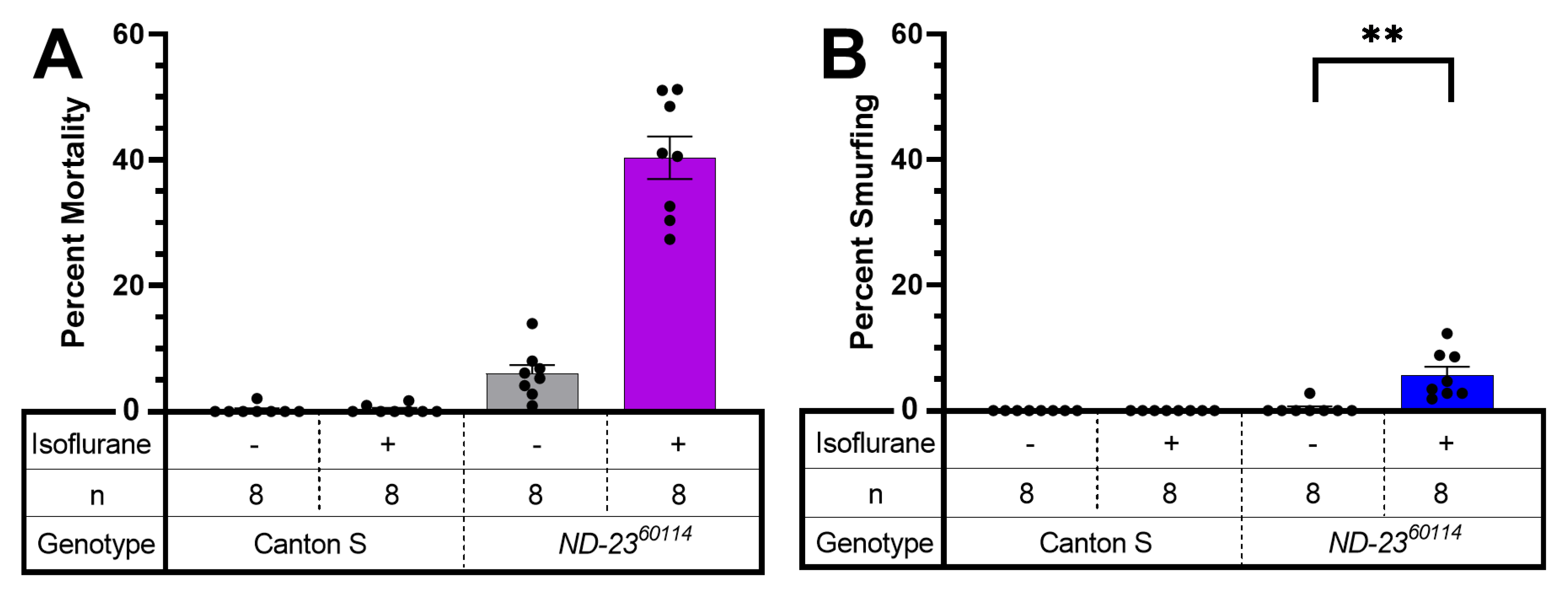 Ijms 24 01843 g006 Ijms 24 01843 g006