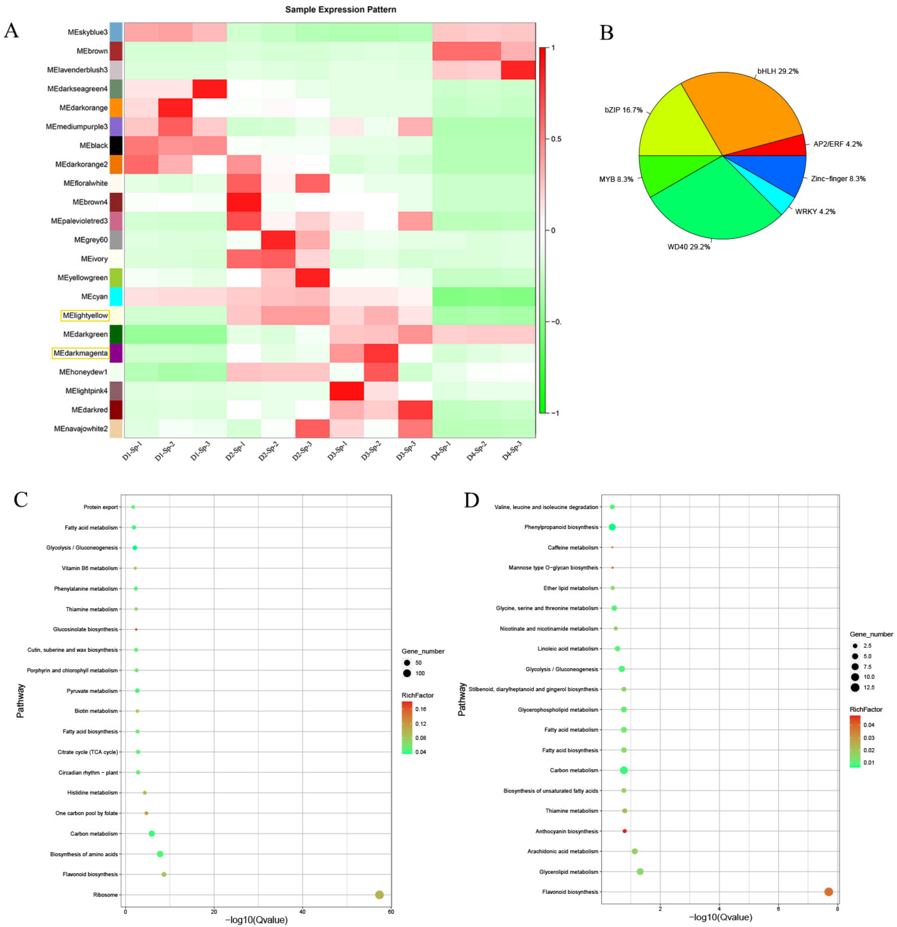 Ijms 24 01844 g005 Ijms 24 01844 g005