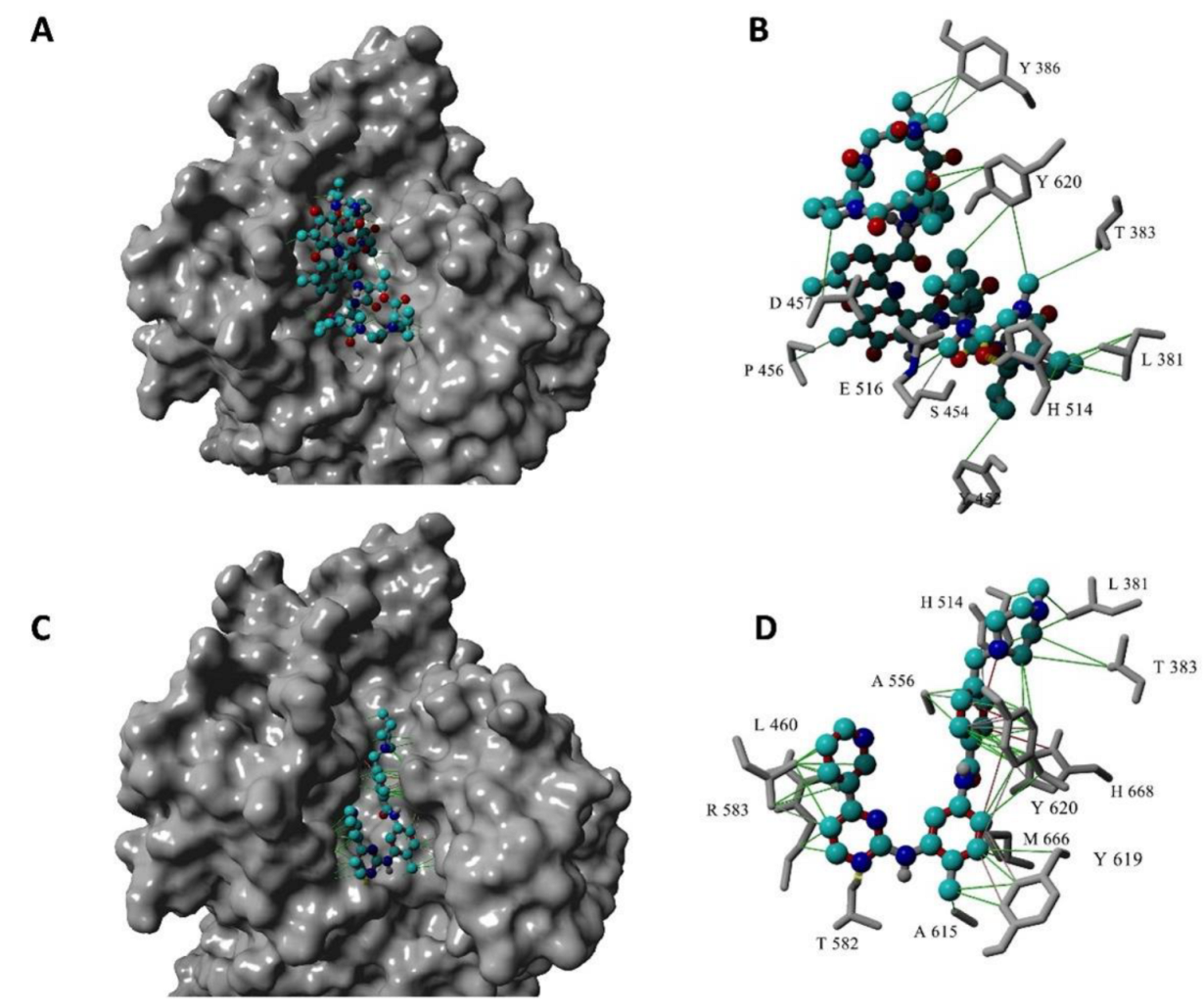 Ijms 24 01851 g003 Ijms 24 01851 g003