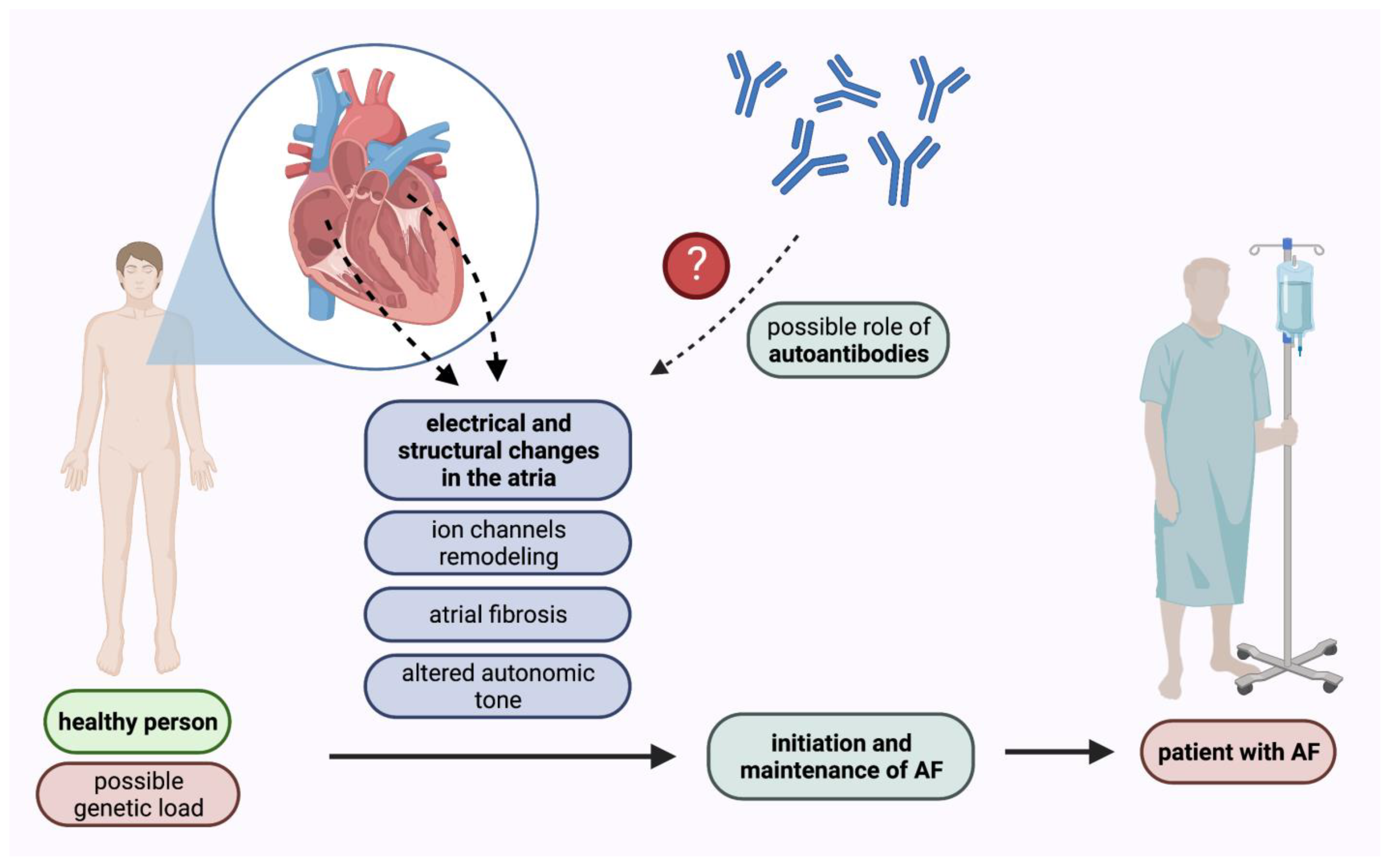 Ijms 24 01852 g001 Ijms 24 01852 g001