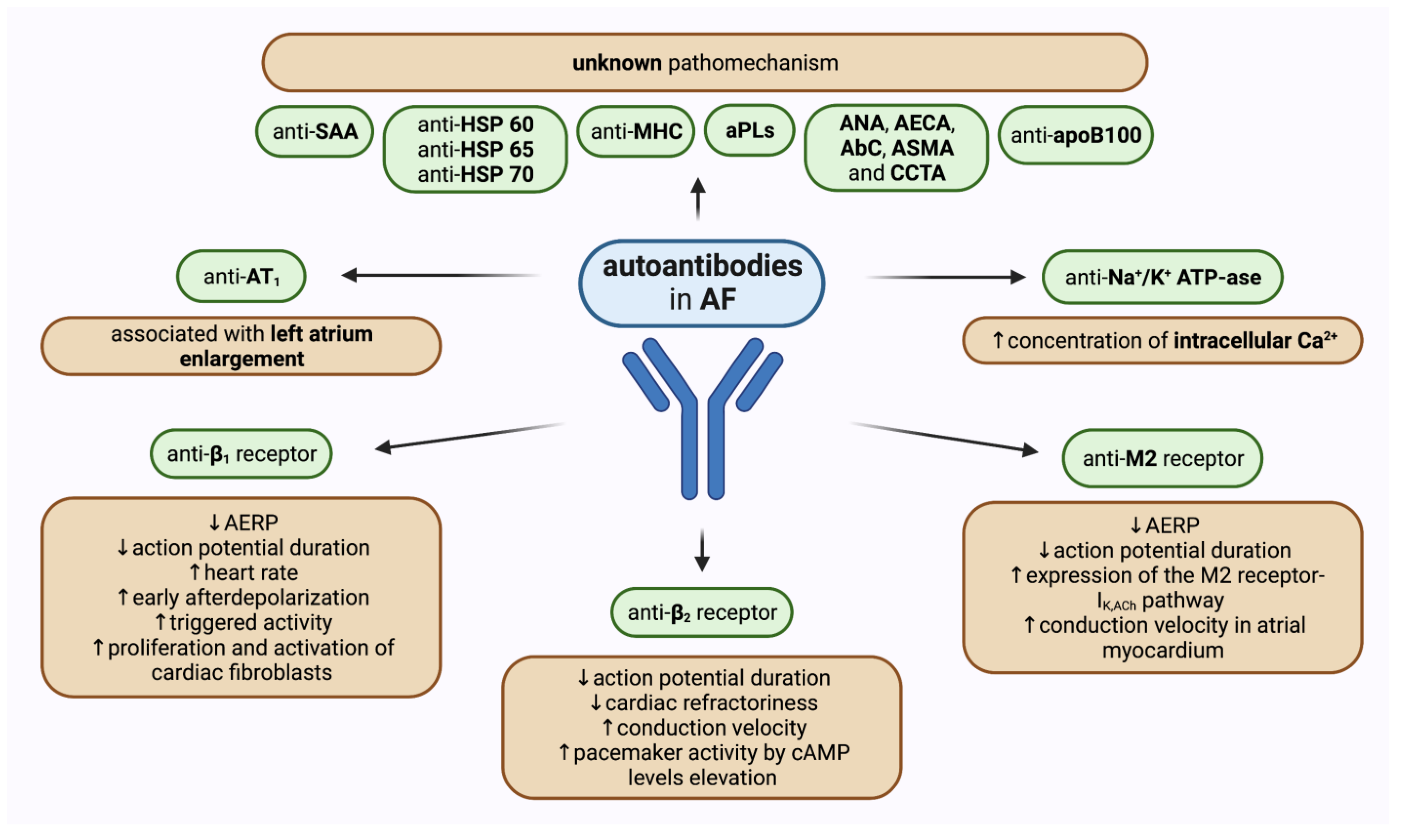 Ijms 24 01852 g002 Ijms 24 01852 g002