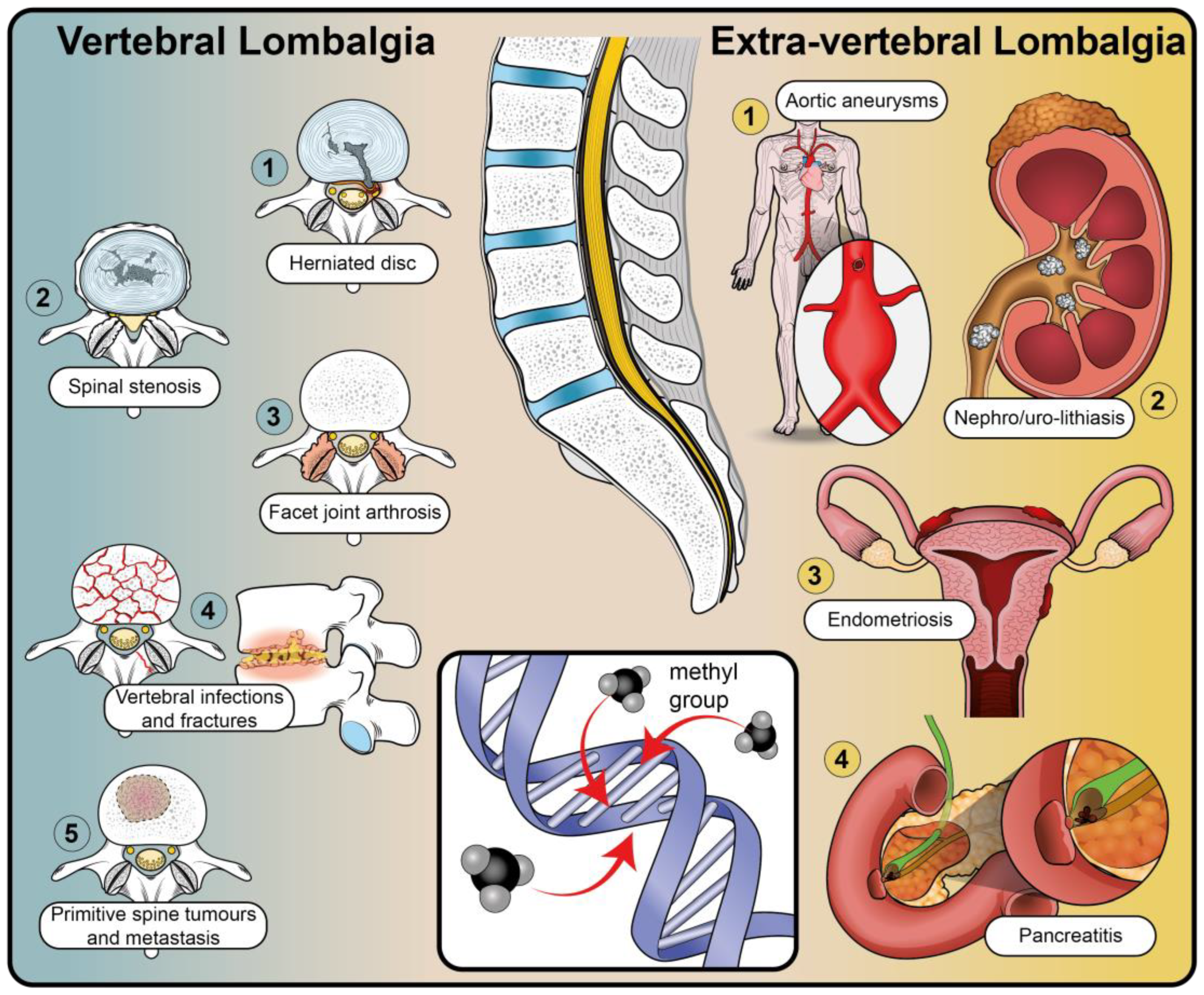Ijms 24 01854 g001 Ijms 24 01854 g001