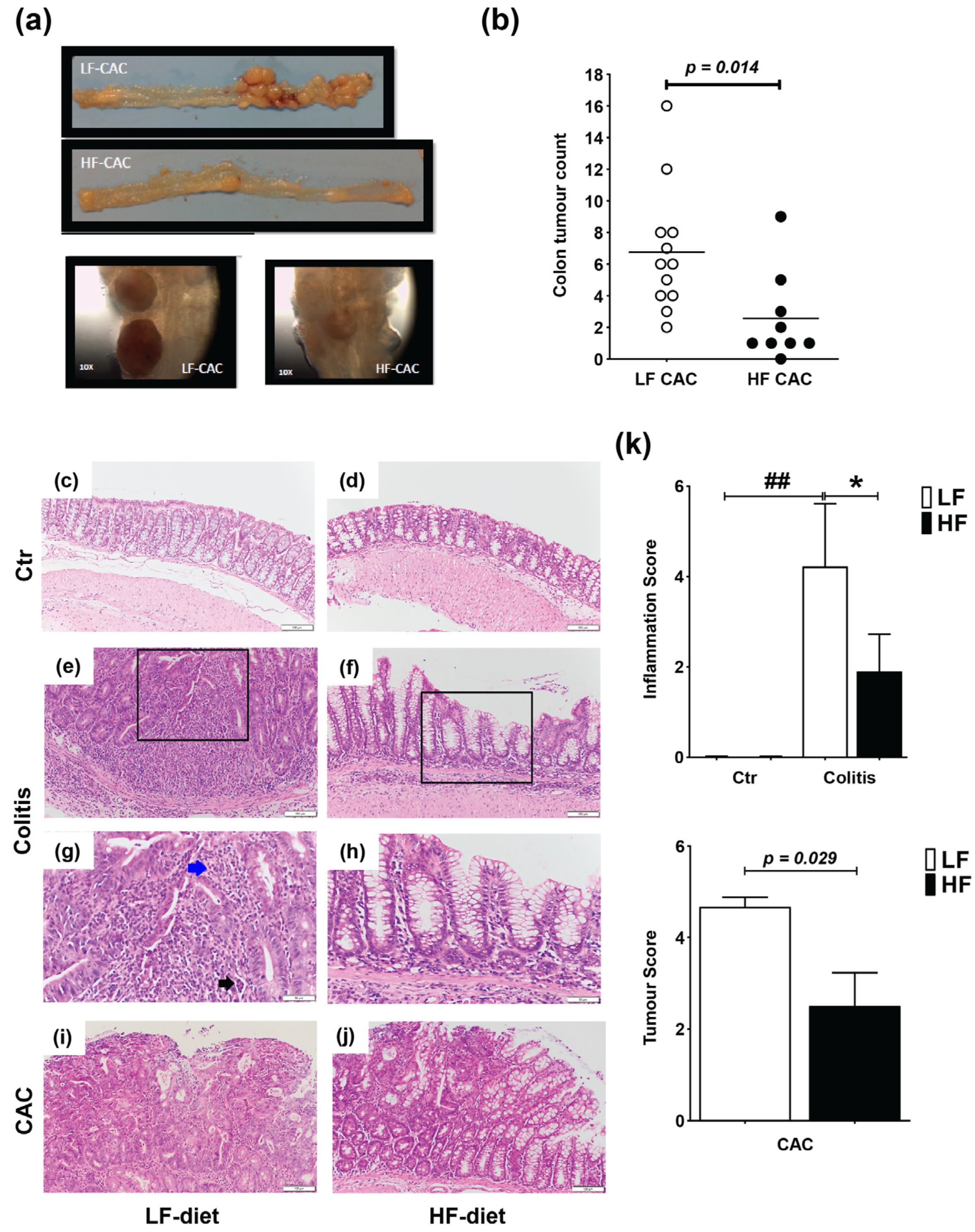 Ijms 24 01864 g001 Ijms 24 01864 g001