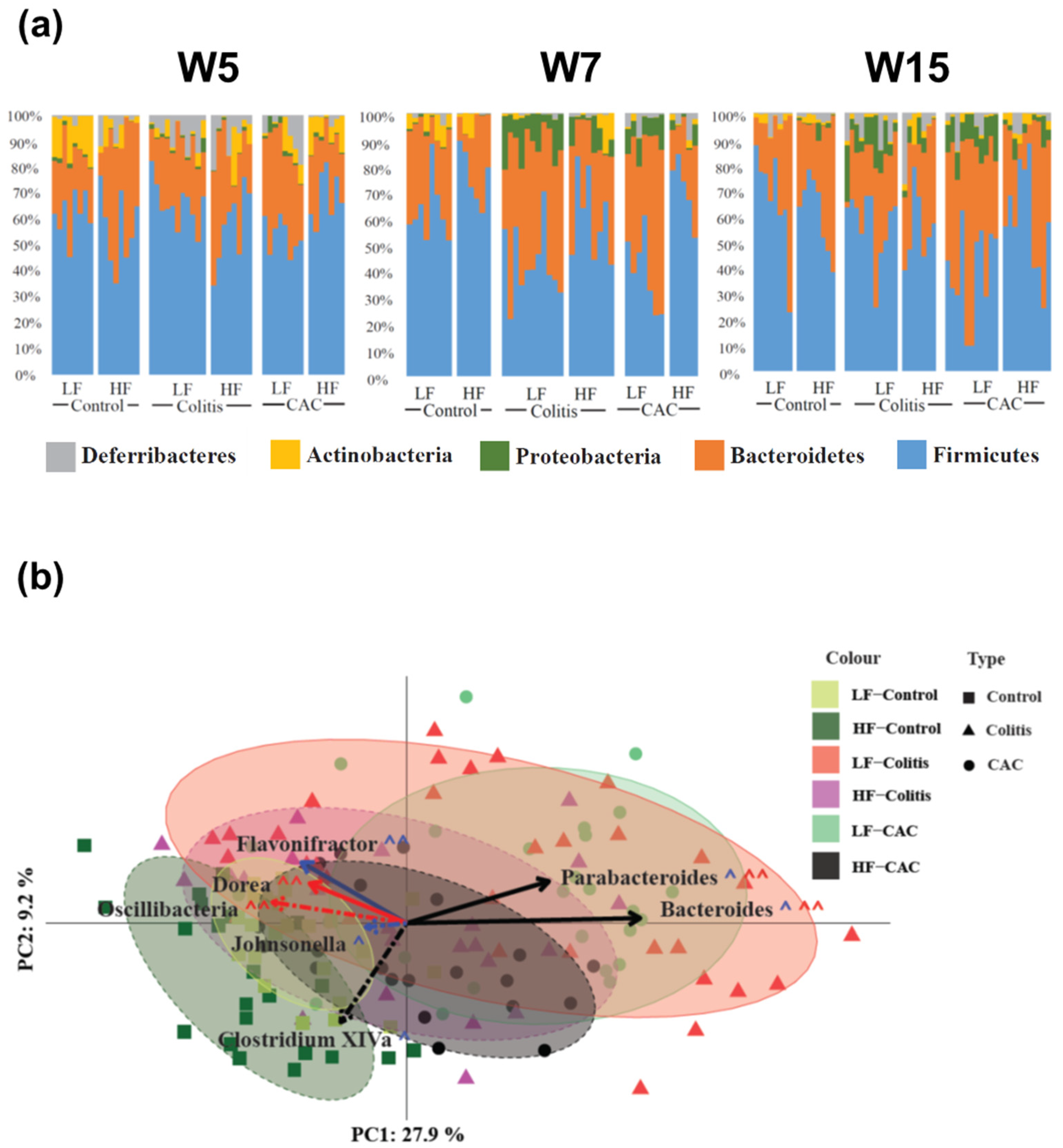 Ijms 24 01864 g004 Ijms 24 01864 g004