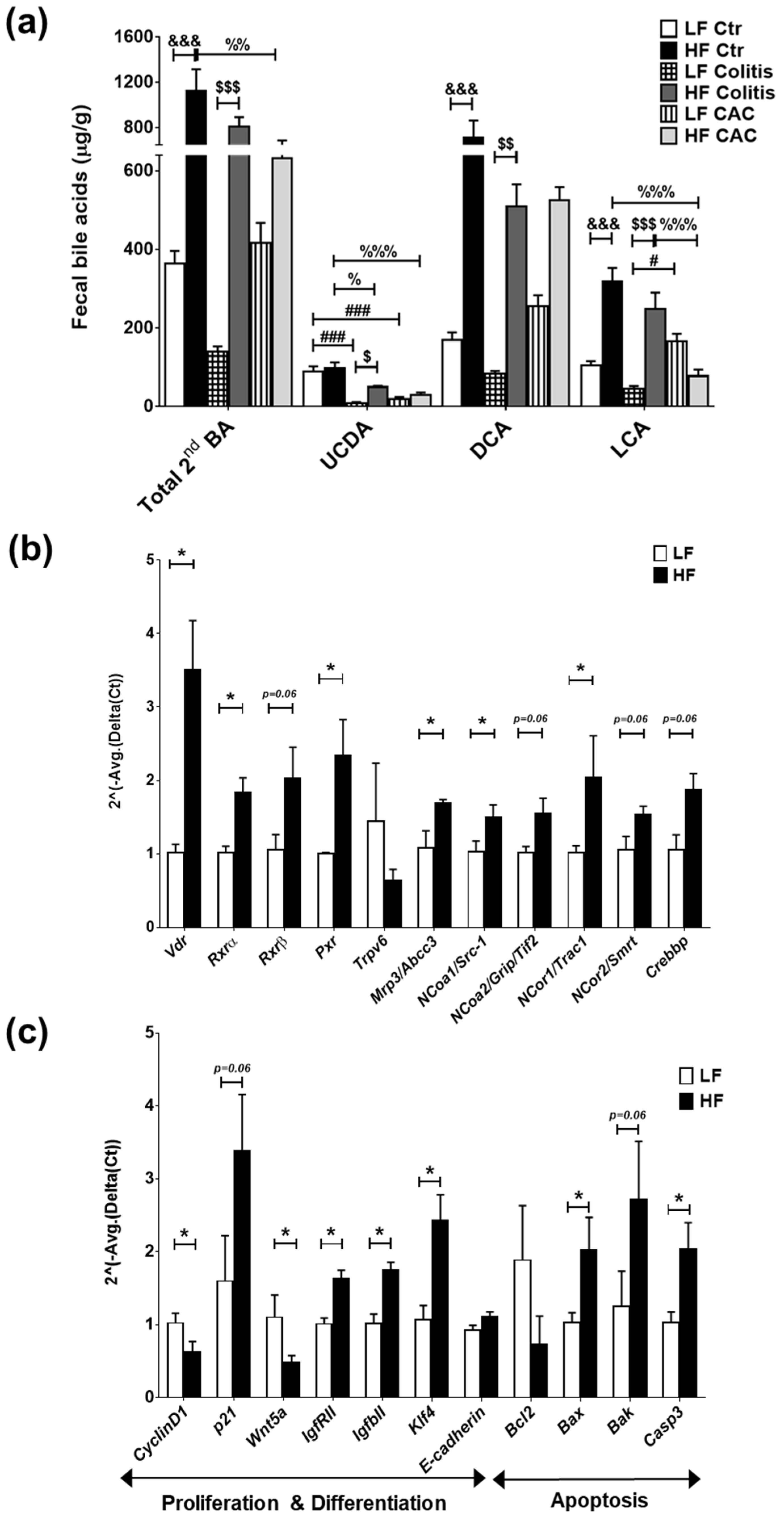 Ijms 24 01864 g005 Ijms 24 01864 g005