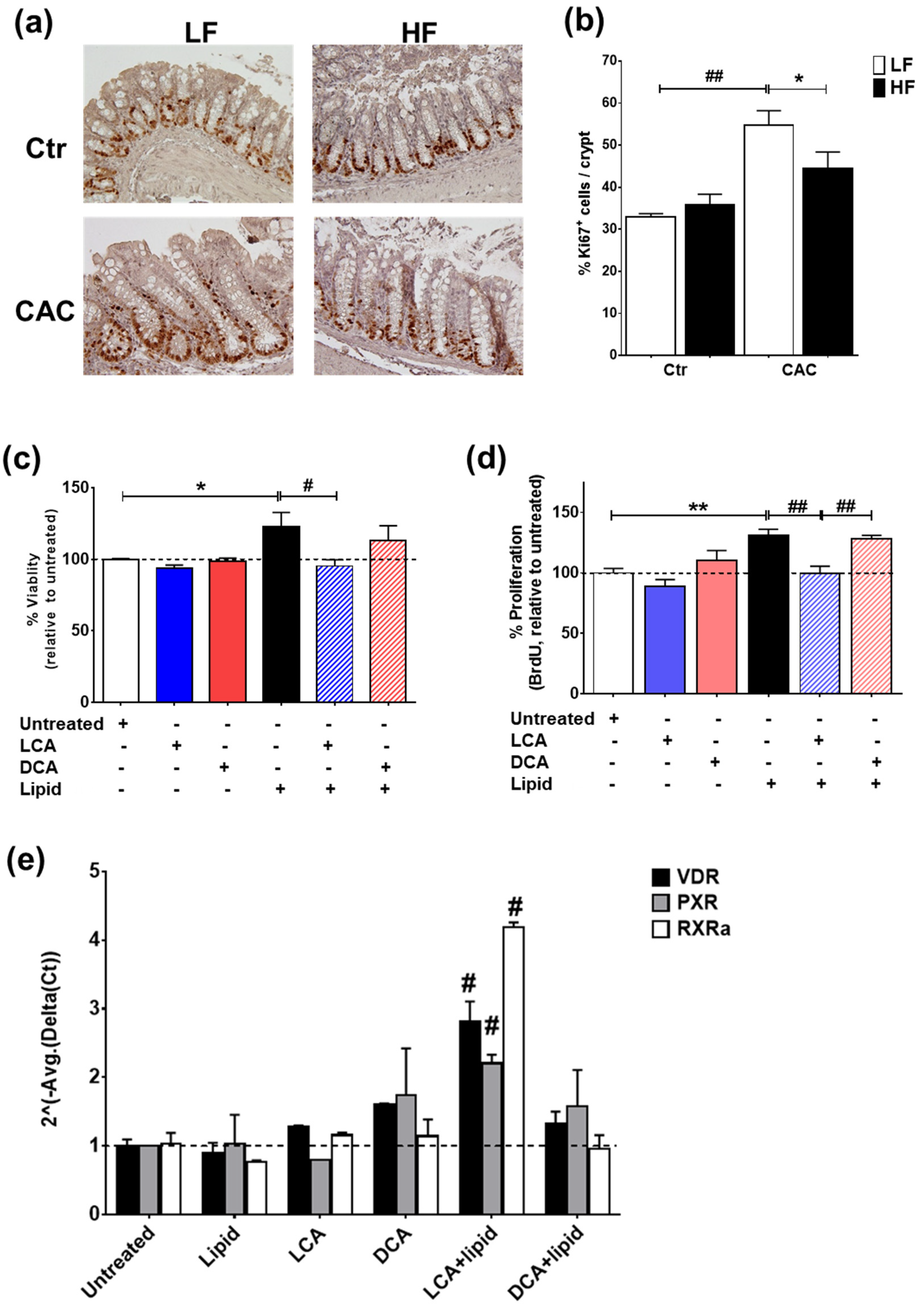 Ijms 24 01864 g006 Ijms 24 01864 g006