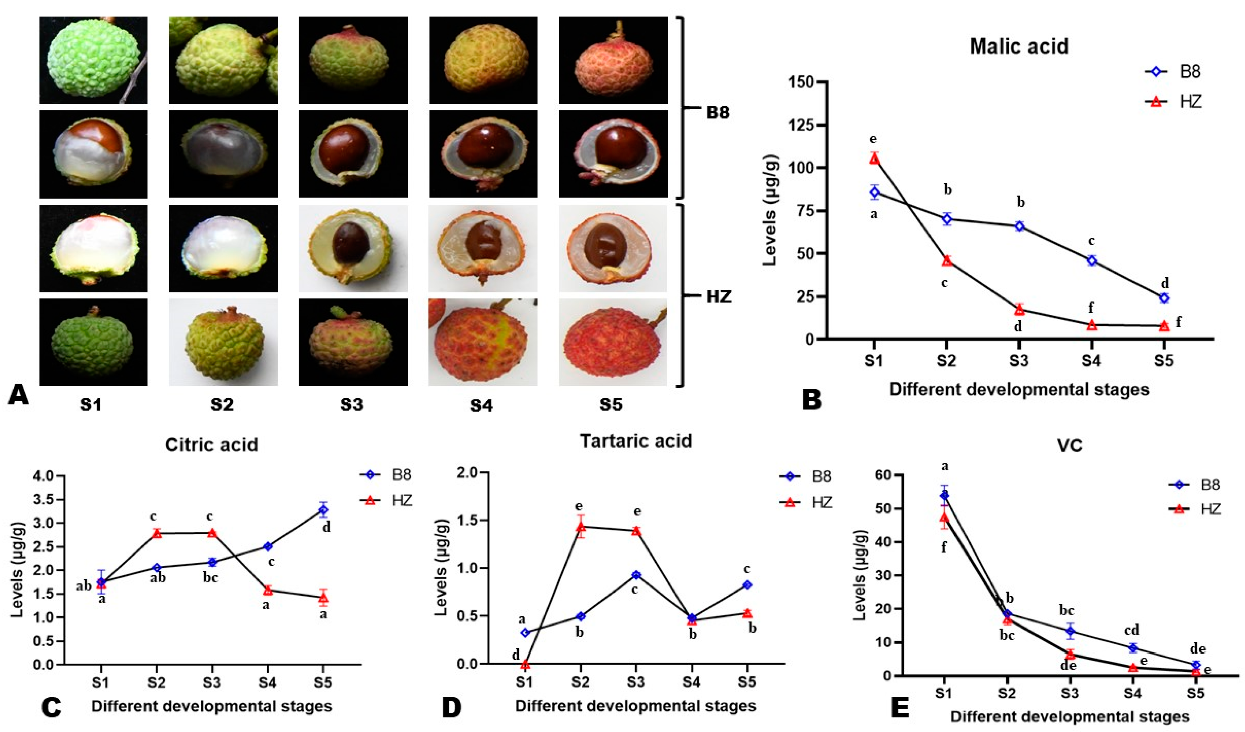 Ijms 24 01871 g001 Ijms 24 01871 g001