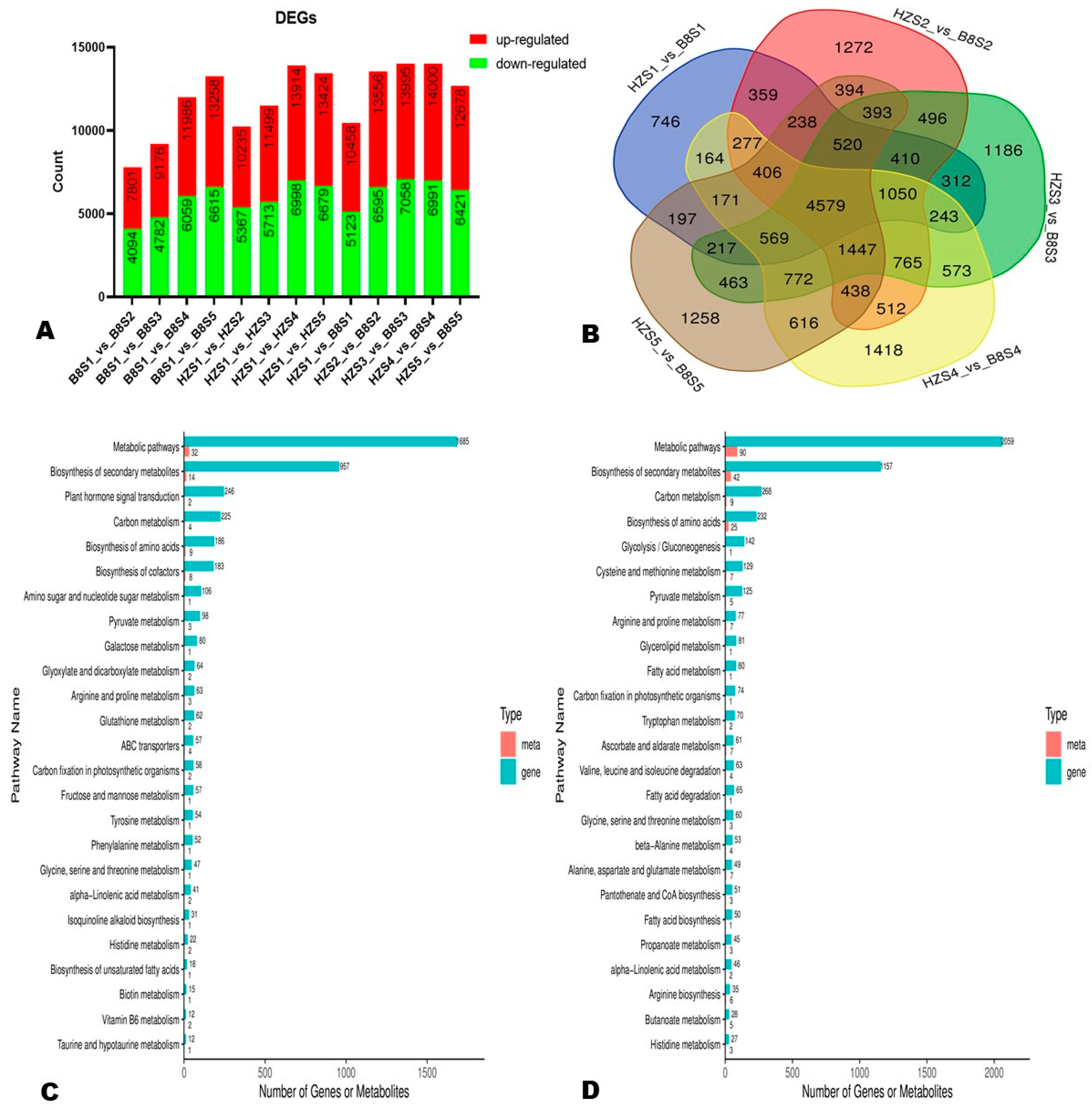 Ijms 24 01871 g005 Ijms 24 01871 g005