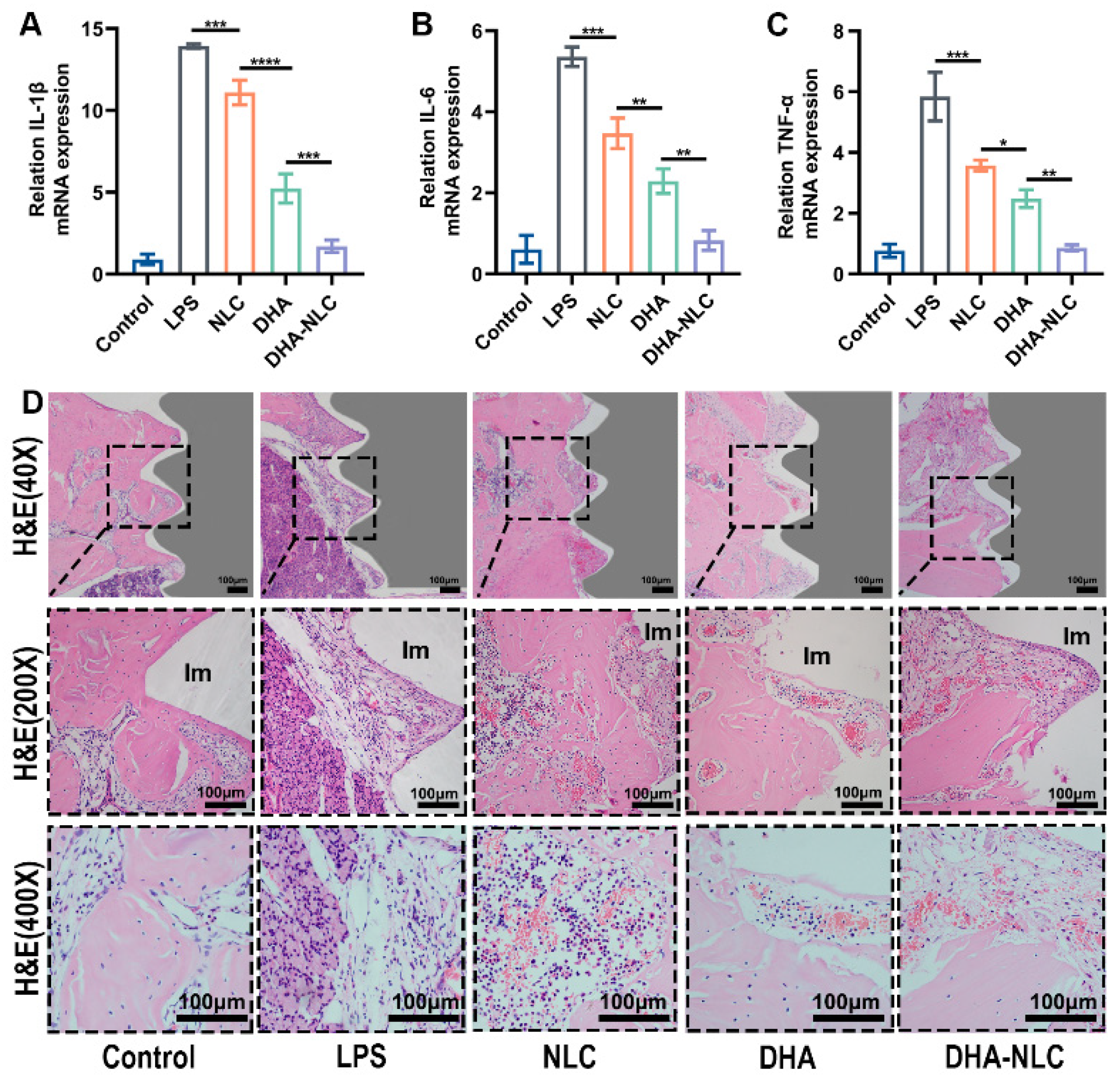 Ijms 24 01872 g004 Ijms 24 01872 g004