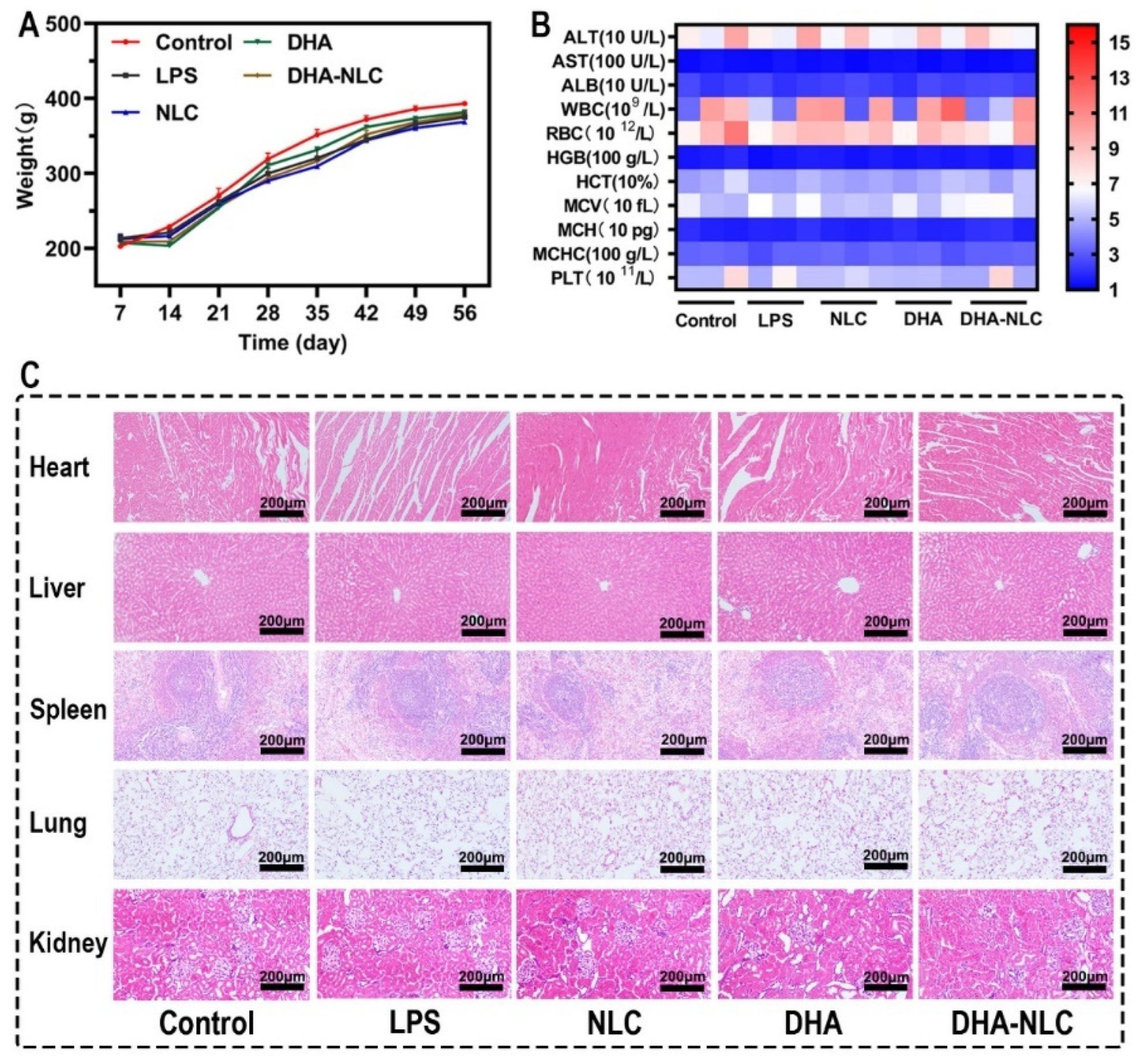 Ijms 24 01872 g006 Ijms 24 01872 g006