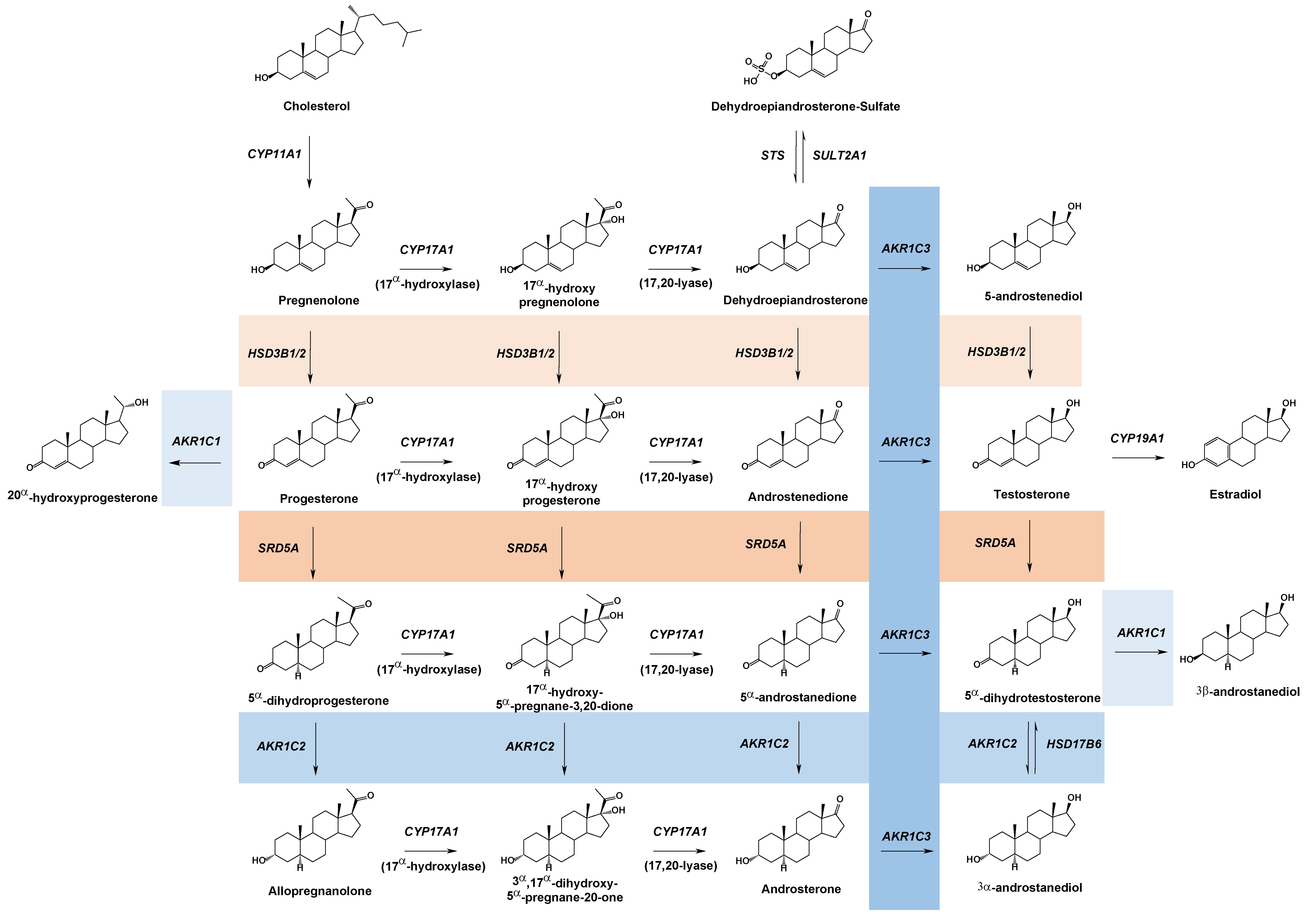 Ijms 24 01873 g001 Ijms 24 01873 g001