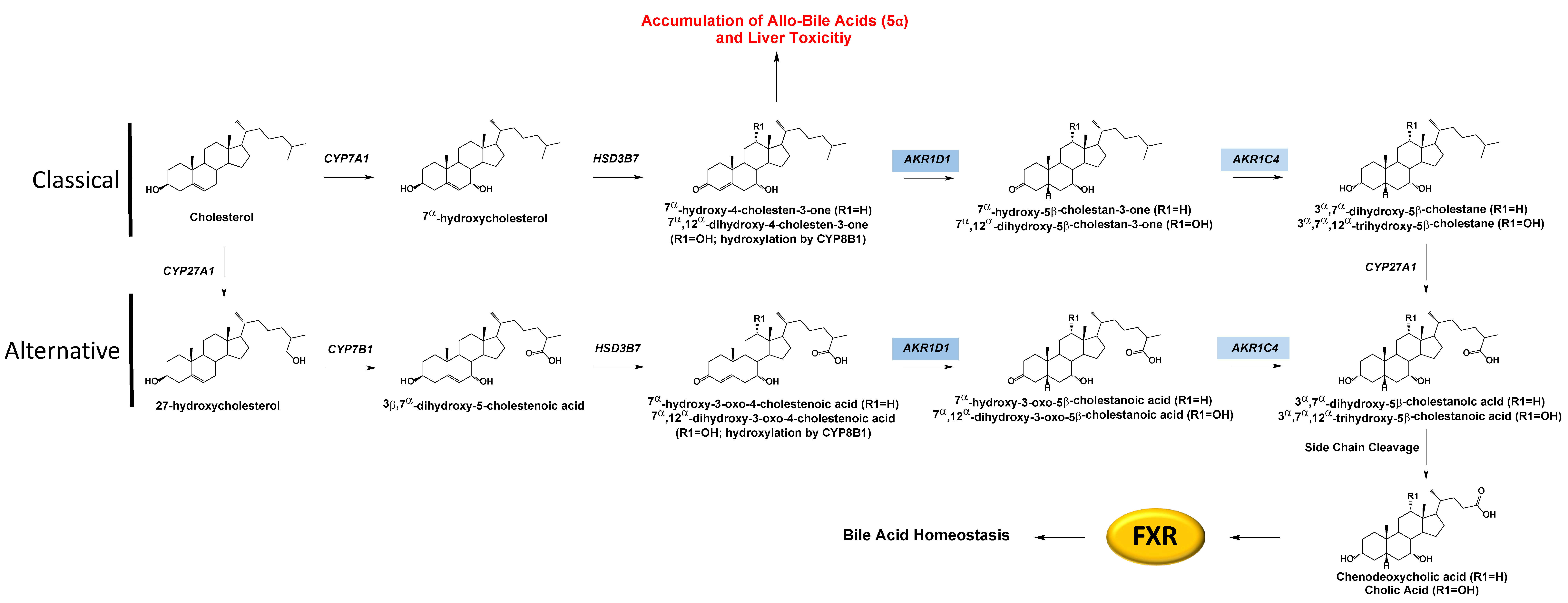 Ijms 24 01873 g004 Ijms 24 01873 g004