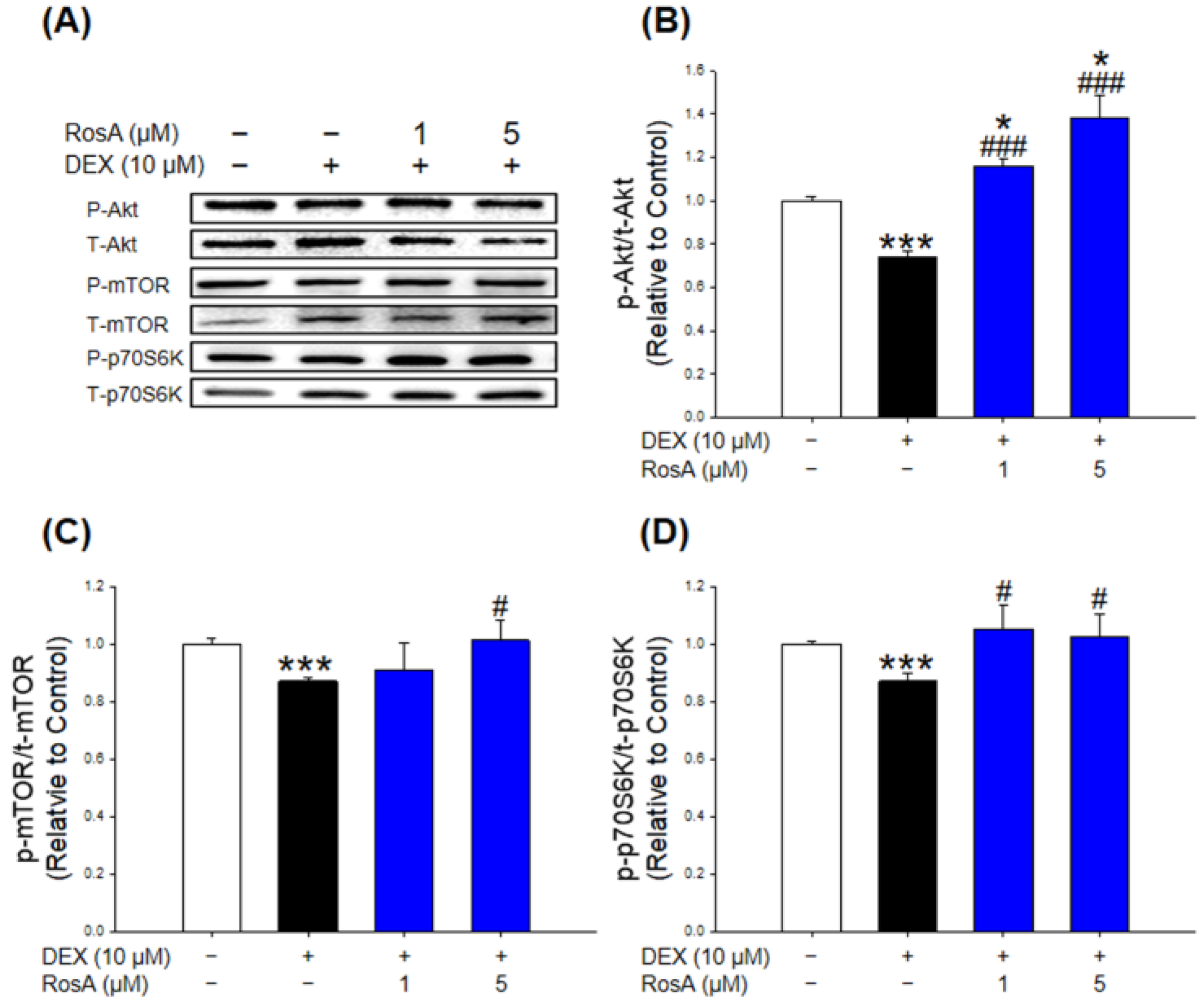 Ijms 24 01876 g003 Ijms 24 01876 g003