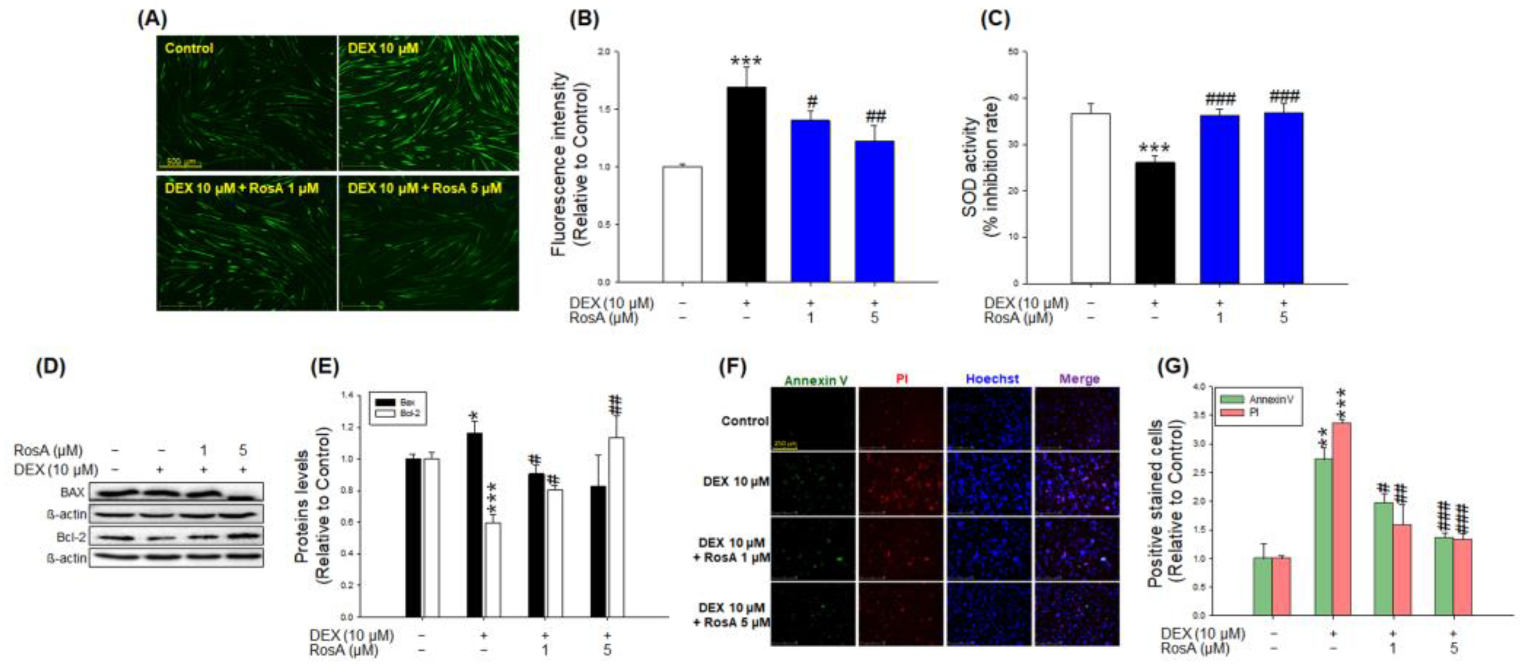 Ijms 24 01876 g004 Ijms 24 01876 g004