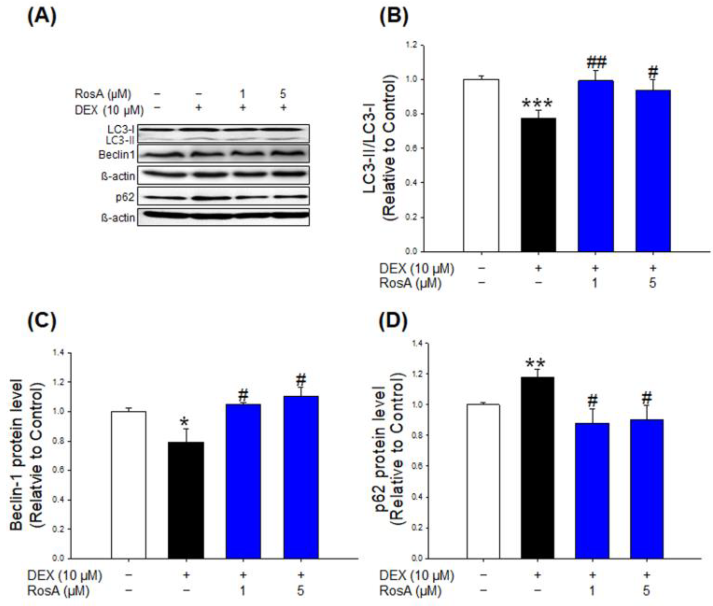 Ijms 24 01876 g005 Ijms 24 01876 g005