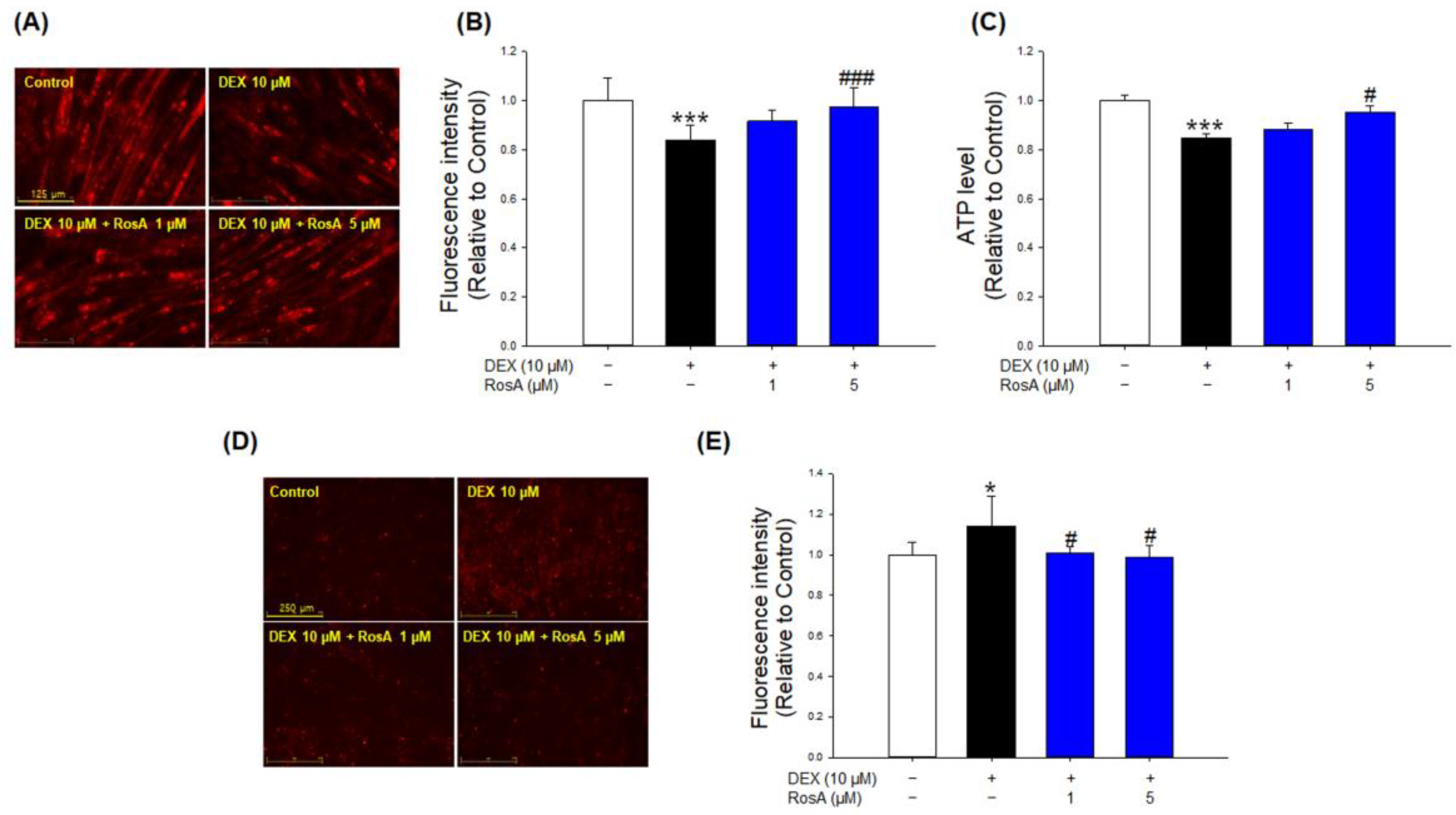 Ijms 24 01876 g006 Ijms 24 01876 g006