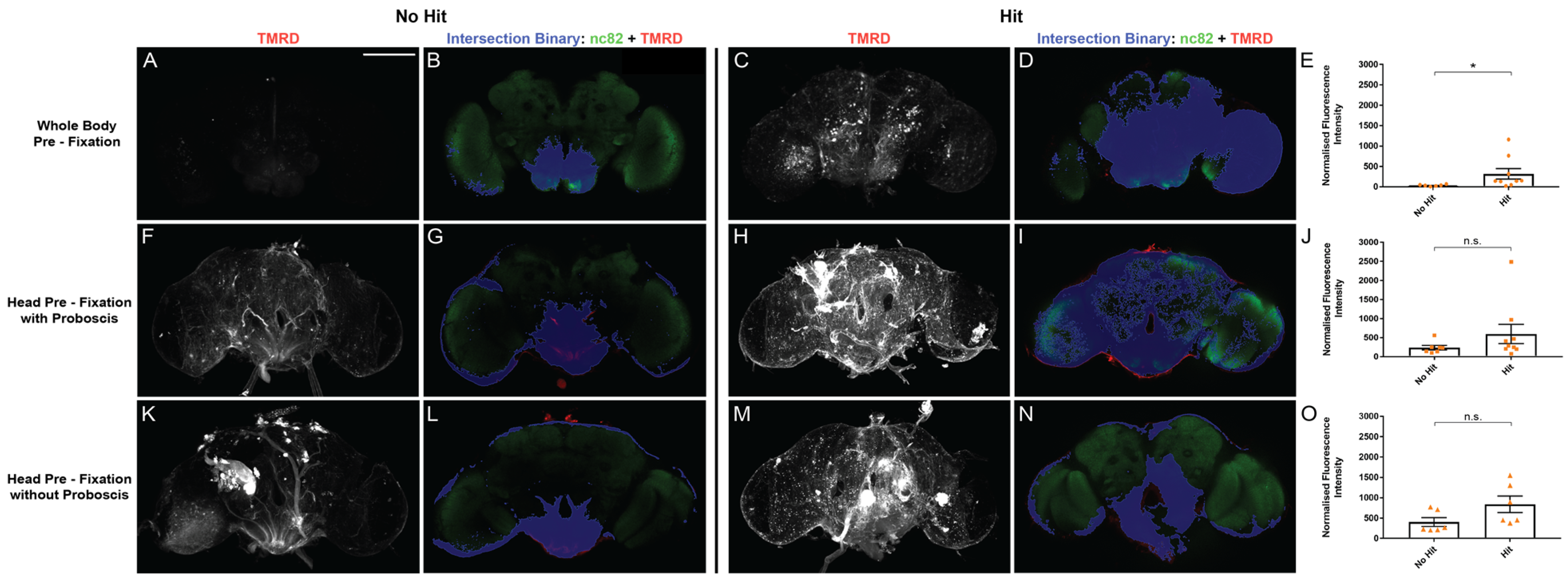 Ijms 24 01886 g003 Ijms 24 01886 g003