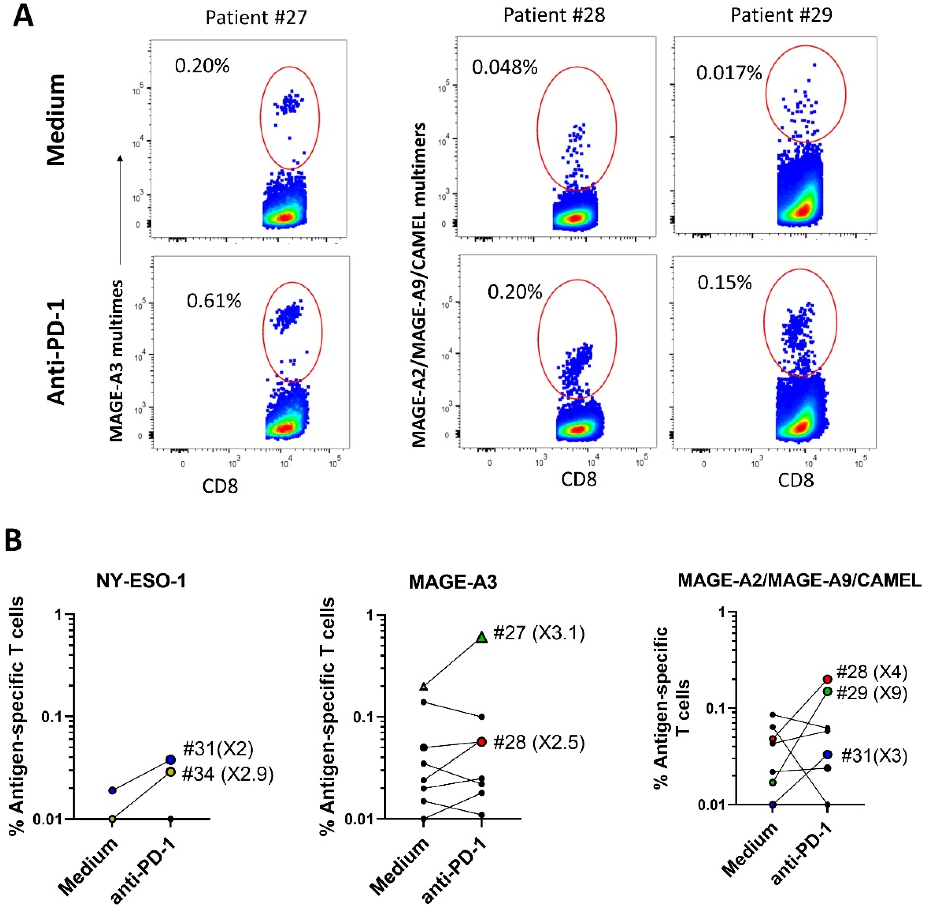 Ijms 24 01897 g004 Ijms 24 01897 g004