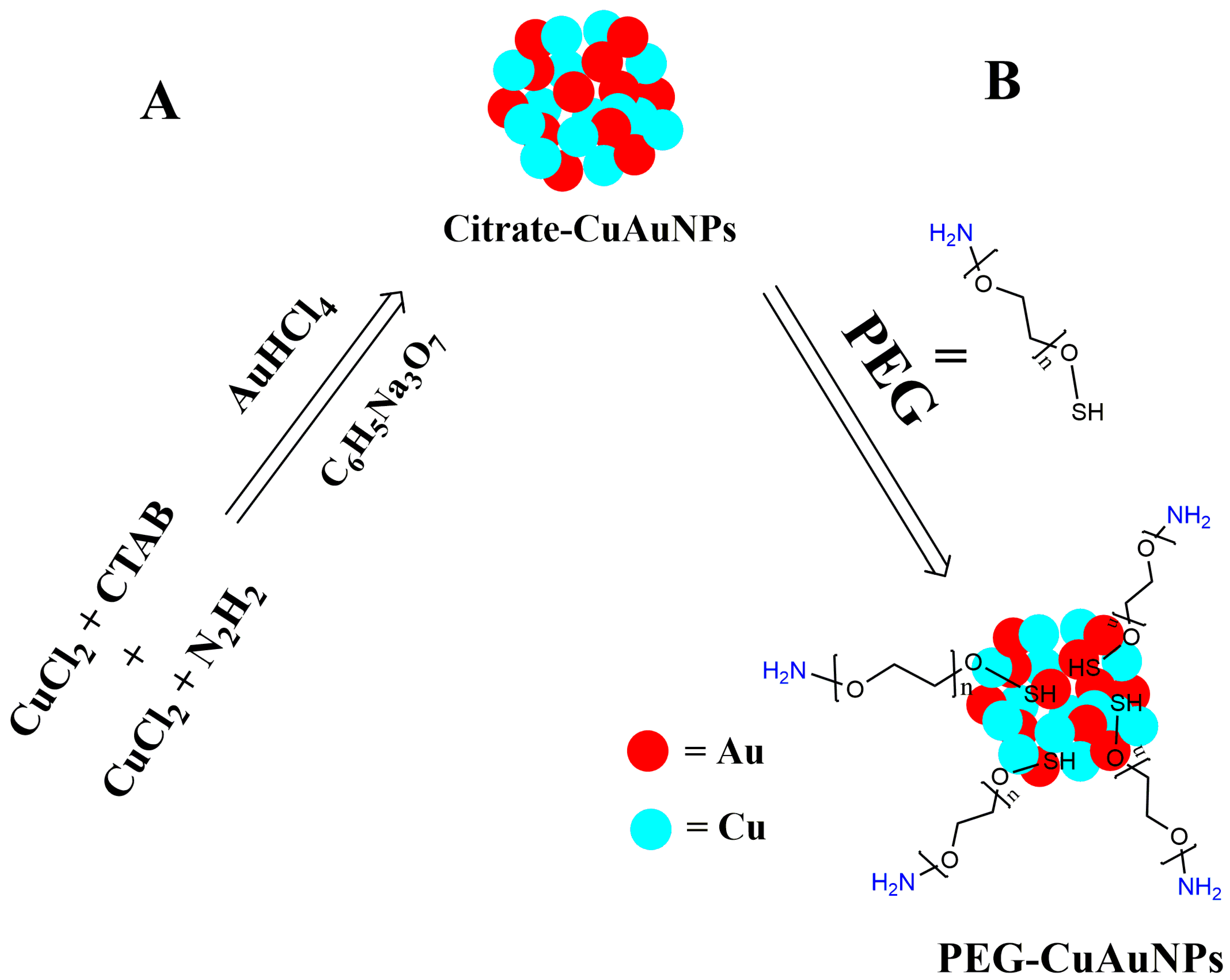 Ijms 24 01902 sch002
