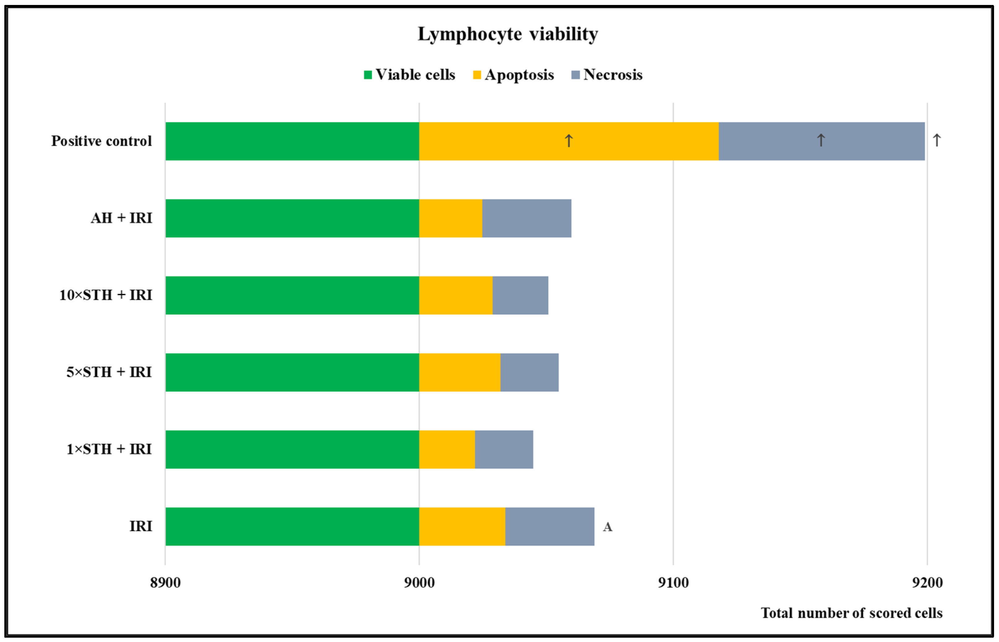Ijms 24 01903 g006 Ijms 24 01903 g006