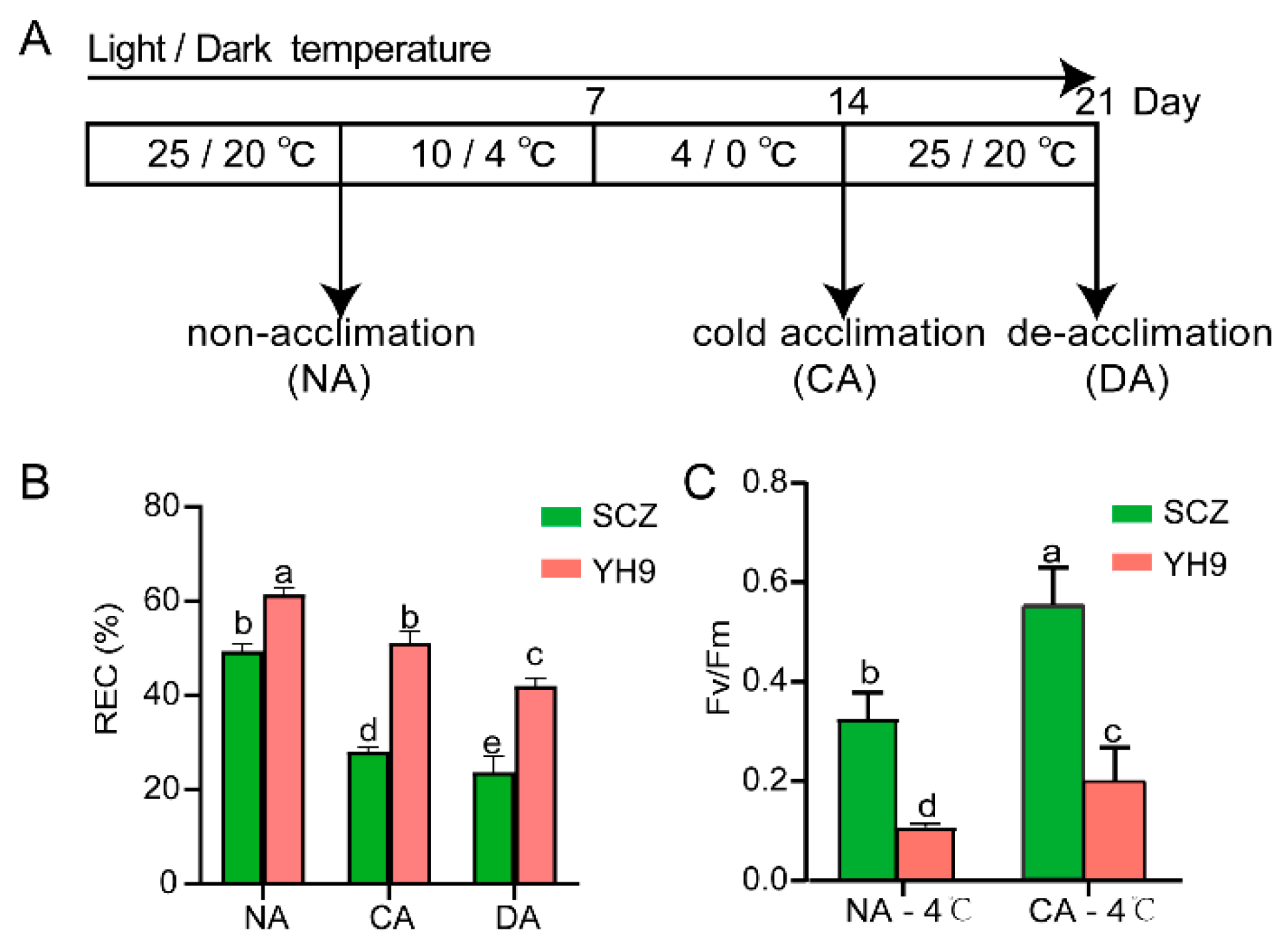 Ijms 24 01907 g001 Ijms 24 01907 g001