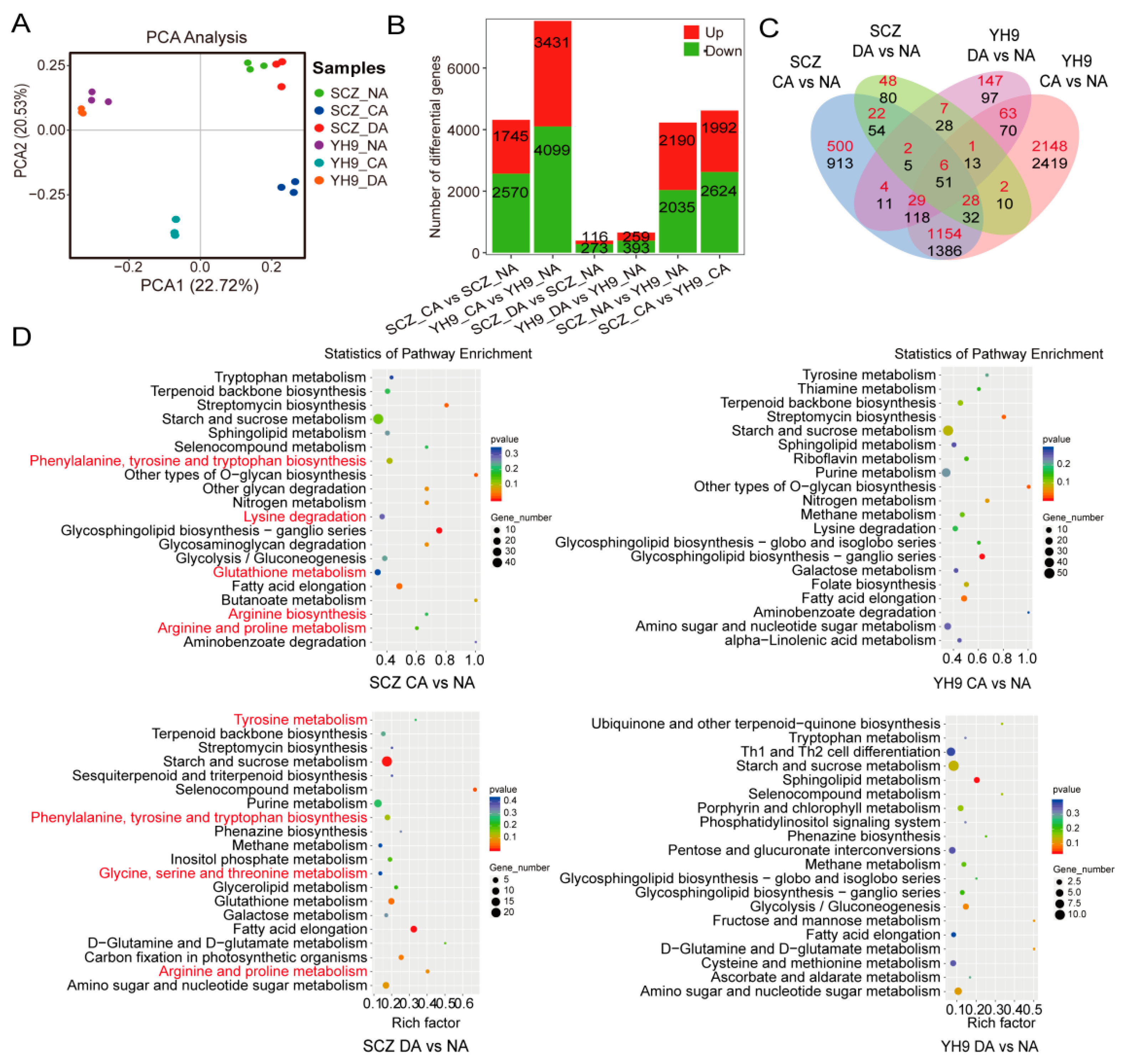 Ijms 24 01907 g003 Ijms 24 01907 g003