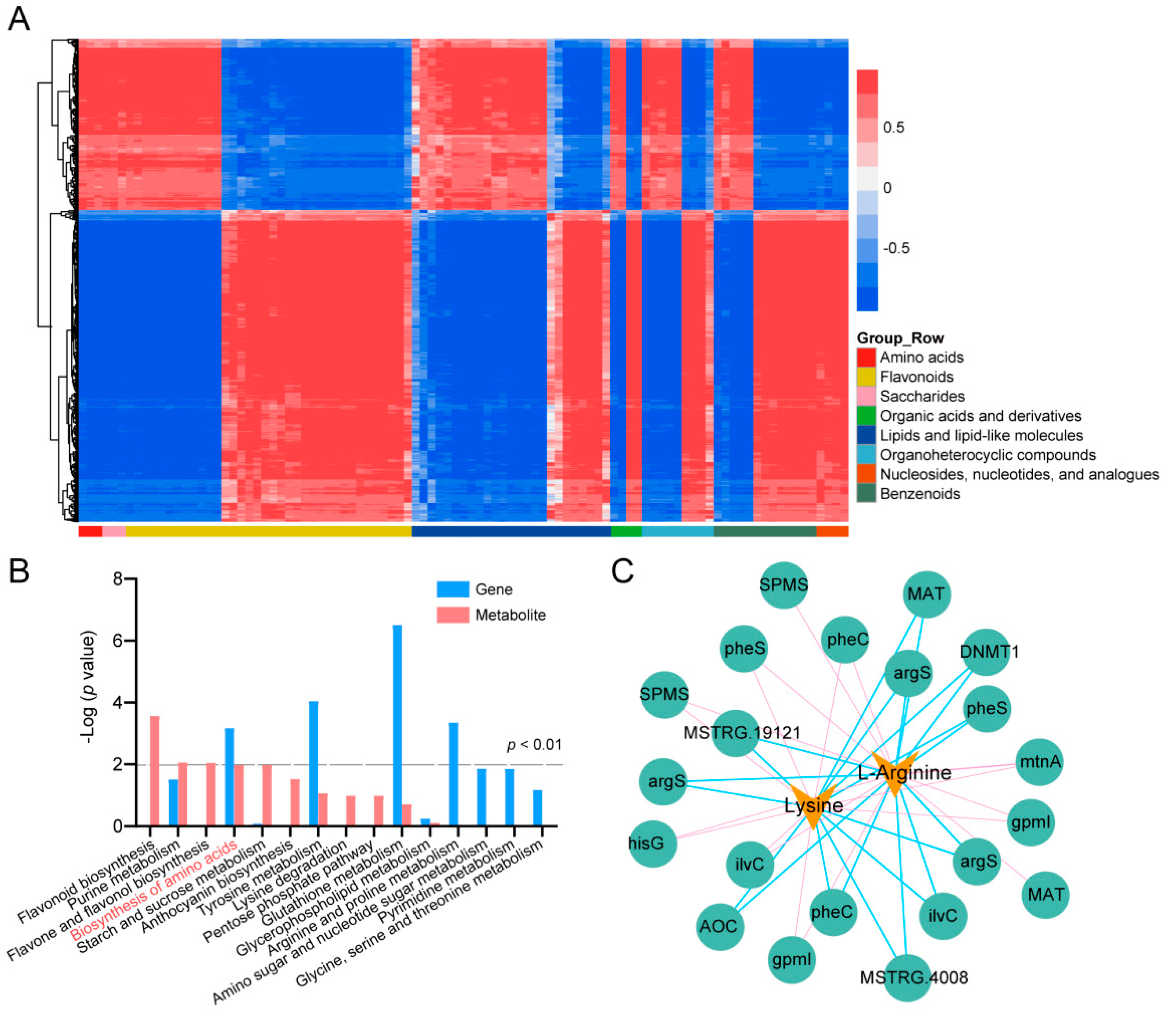 Ijms 24 01907 g004 Ijms 24 01907 g004