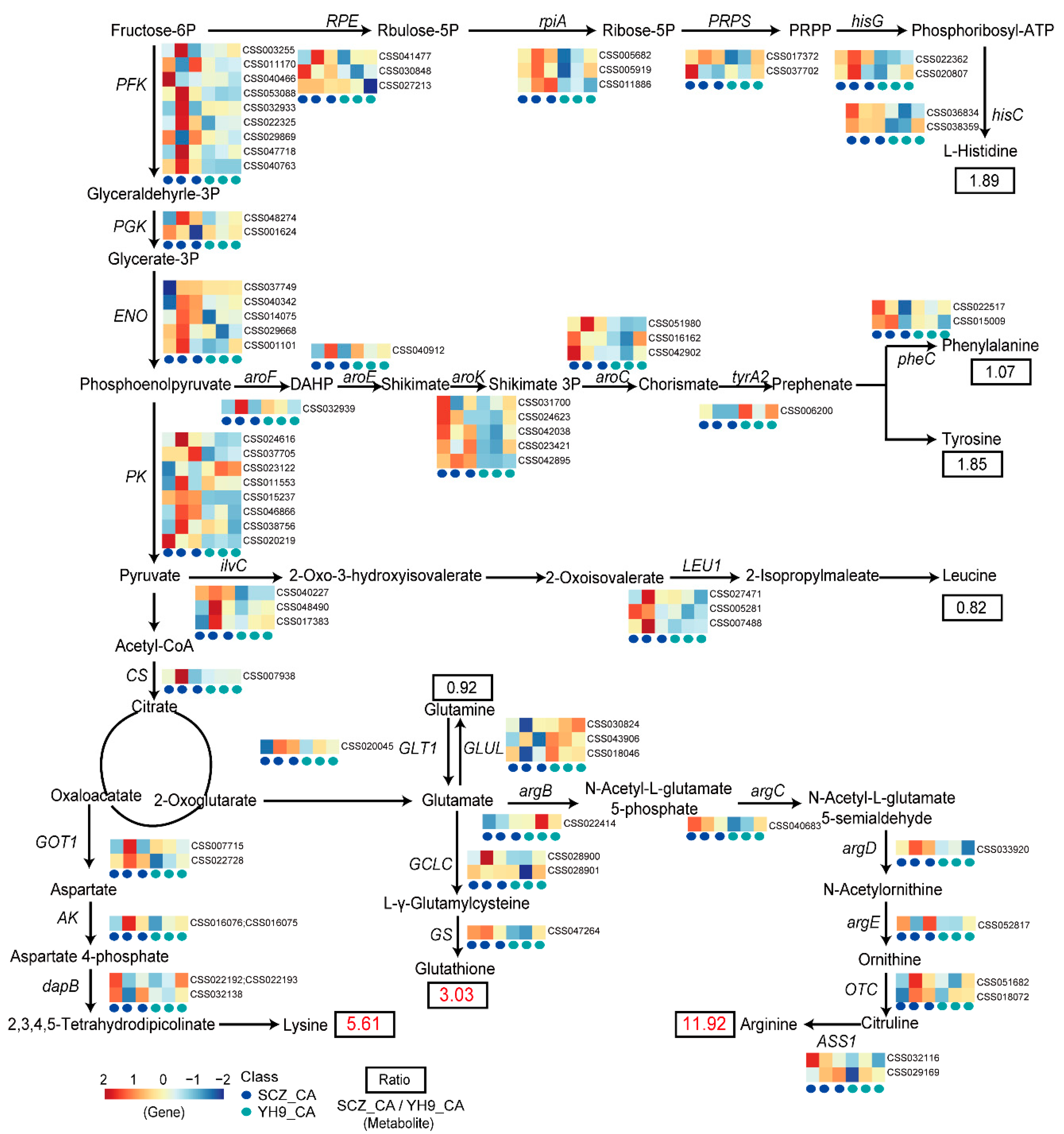 Ijms 24 01907 g005 Ijms 24 01907 g005