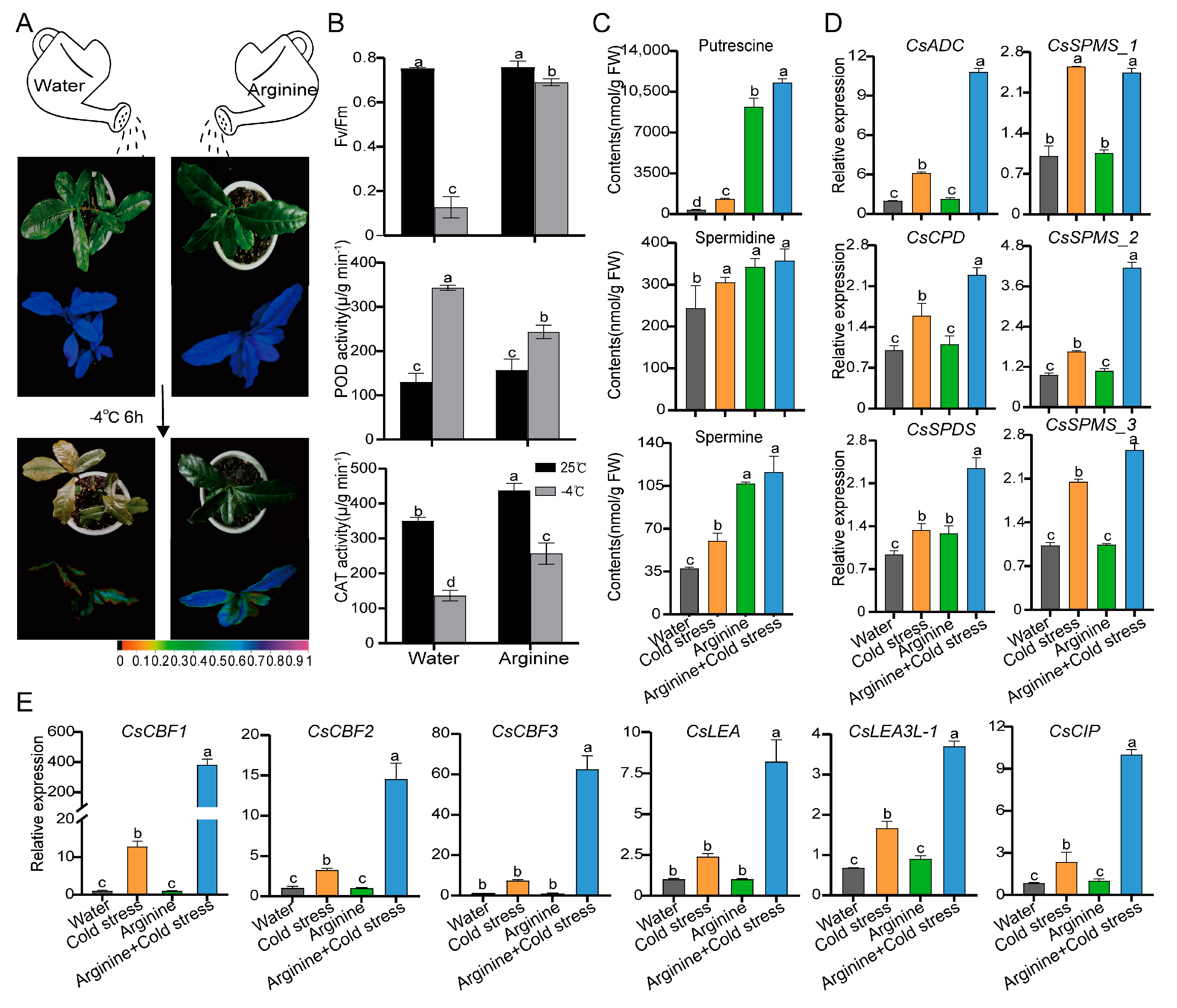 Ijms 24 01907 g006 Ijms 24 01907 g006