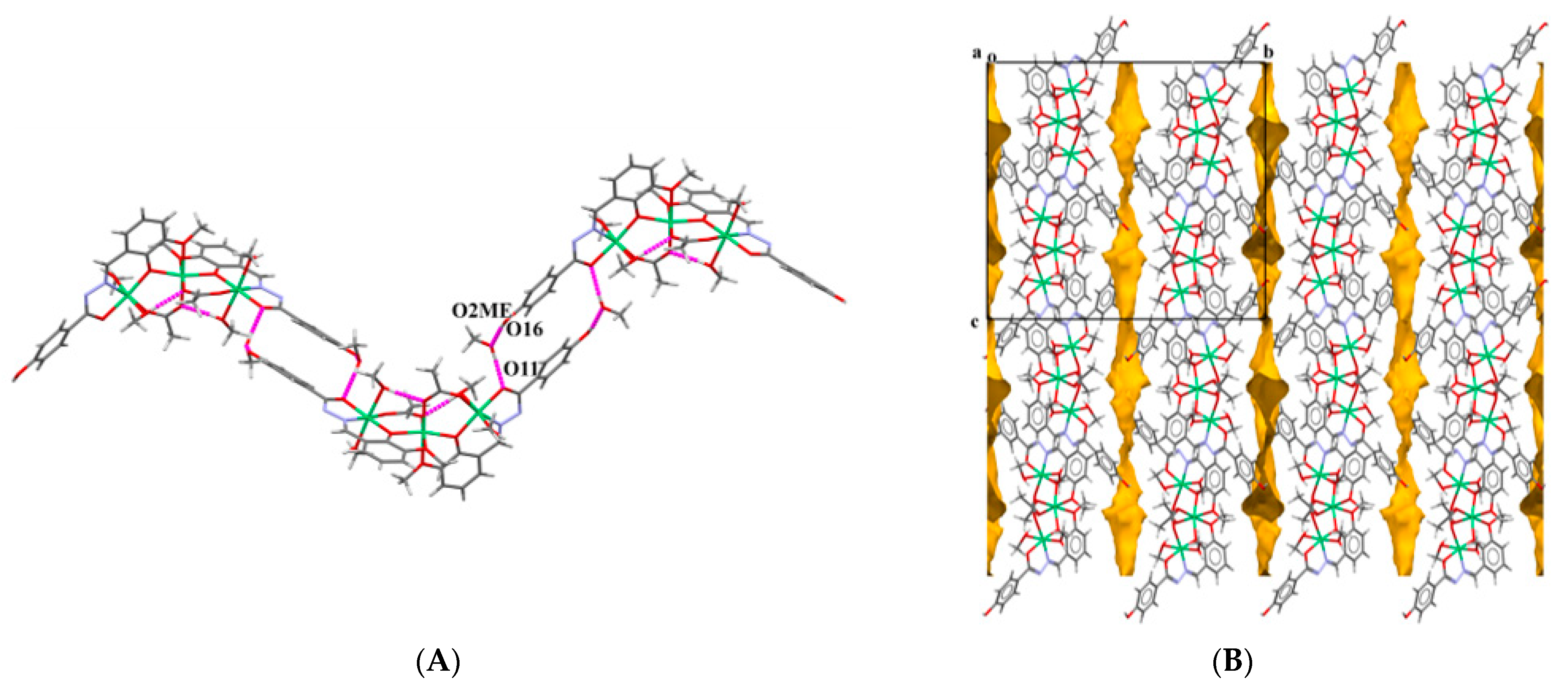 Ijms 24 01909 g002 Ijms 24 01909 g002