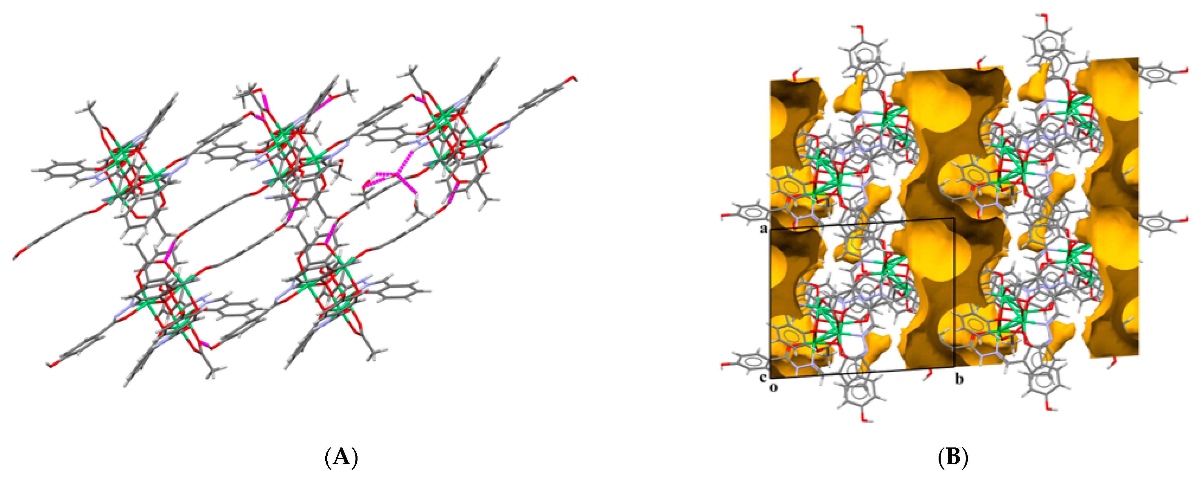 Ijms 24 01909 g005 Ijms 24 01909 g005