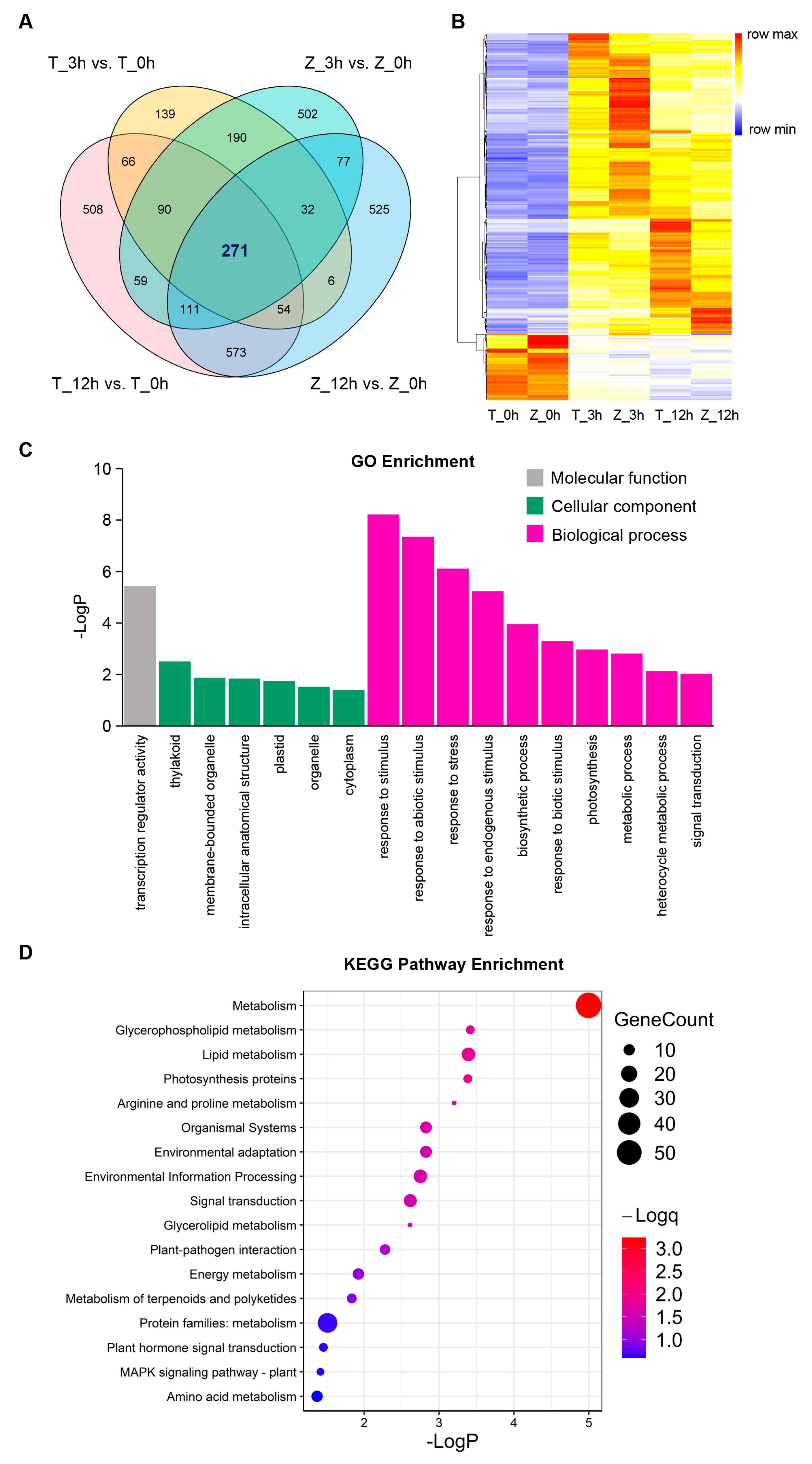 Ijms 24 01914 g004 Ijms 24 01914 g004