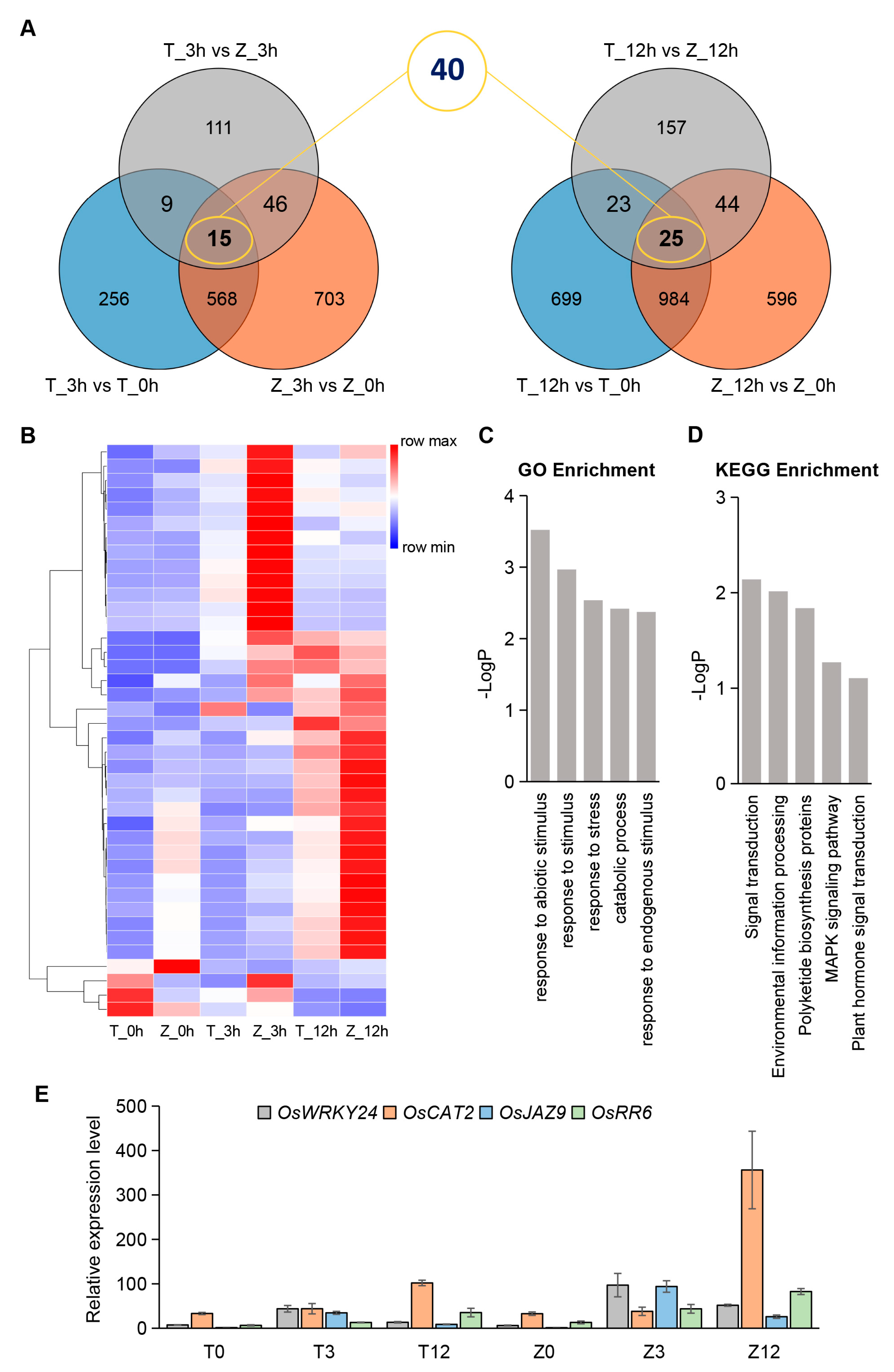 Ijms 24 01914 g005 Ijms 24 01914 g005