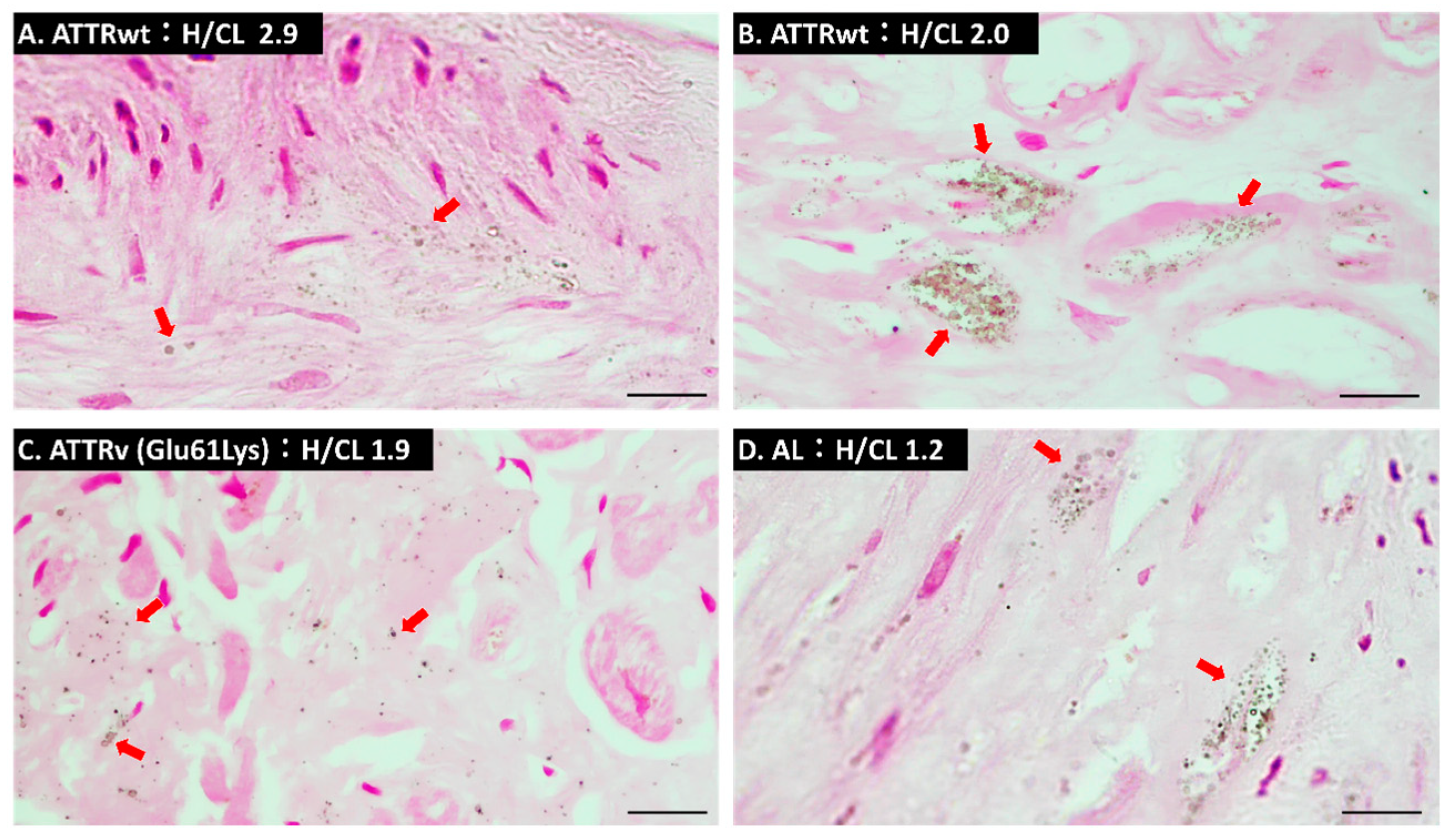 Ijms 24 01921 g002 Ijms 24 01921 g002