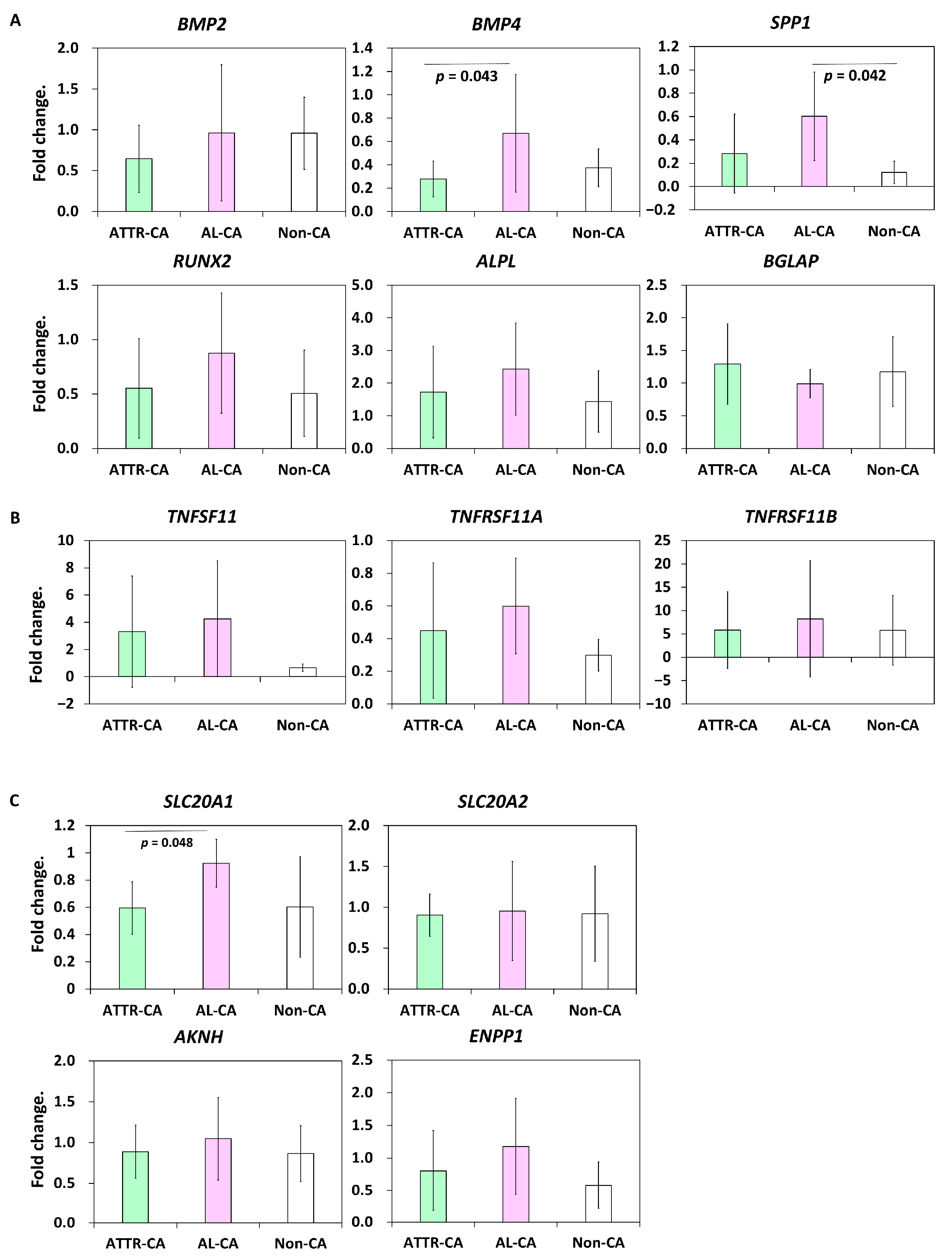 Ijms 24 01921 g004 Ijms 24 01921 g004