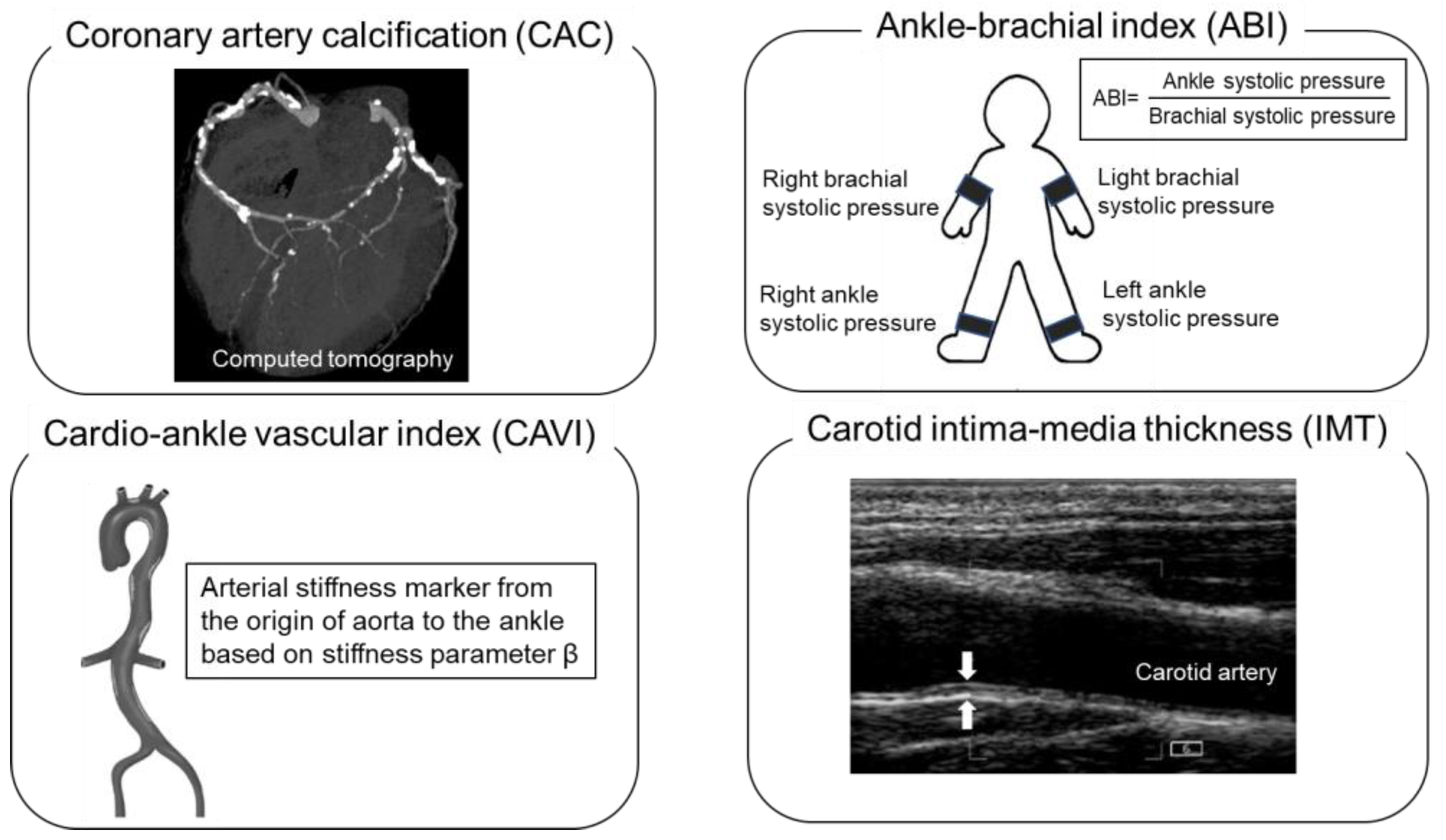 Ijms 24 01925 g001 Ijms 24 01925 g001