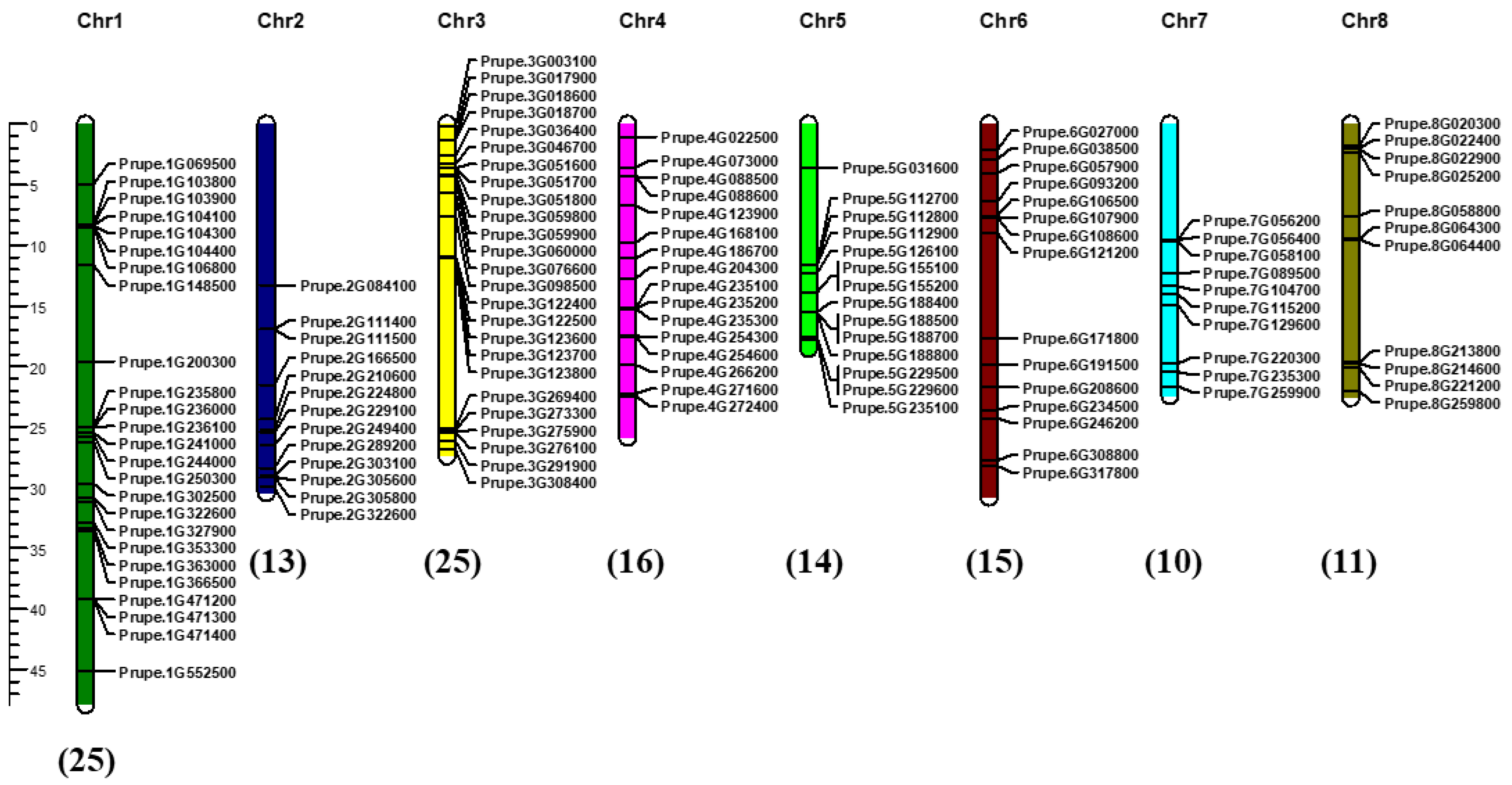 Ijms 24 01931 g002 Ijms 24 01931 g002