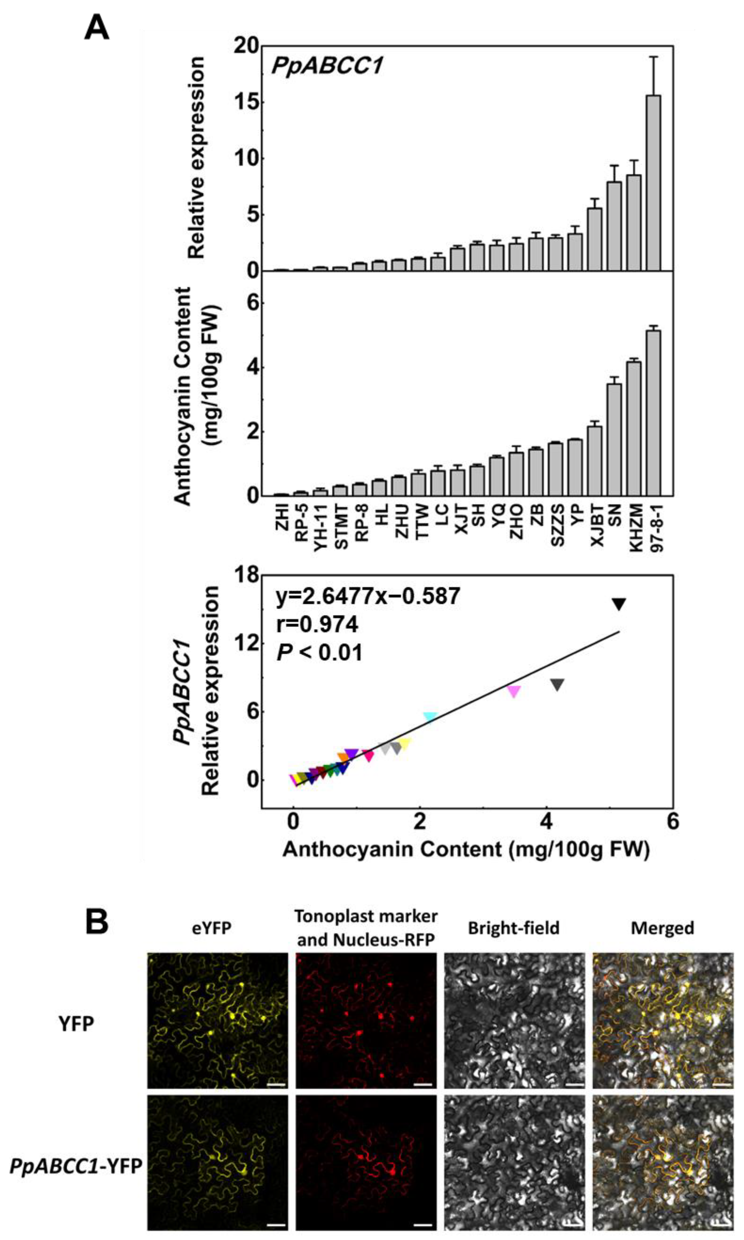 Ijms 24 01931 g006 Ijms 24 01931 g006