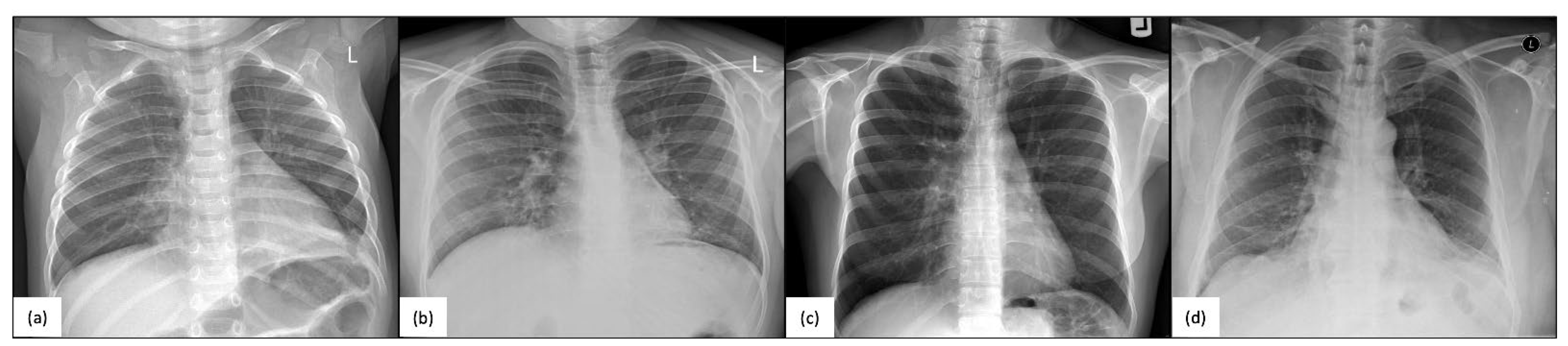 Ijms 24 01936 g003 Ijms 24 01936 g003