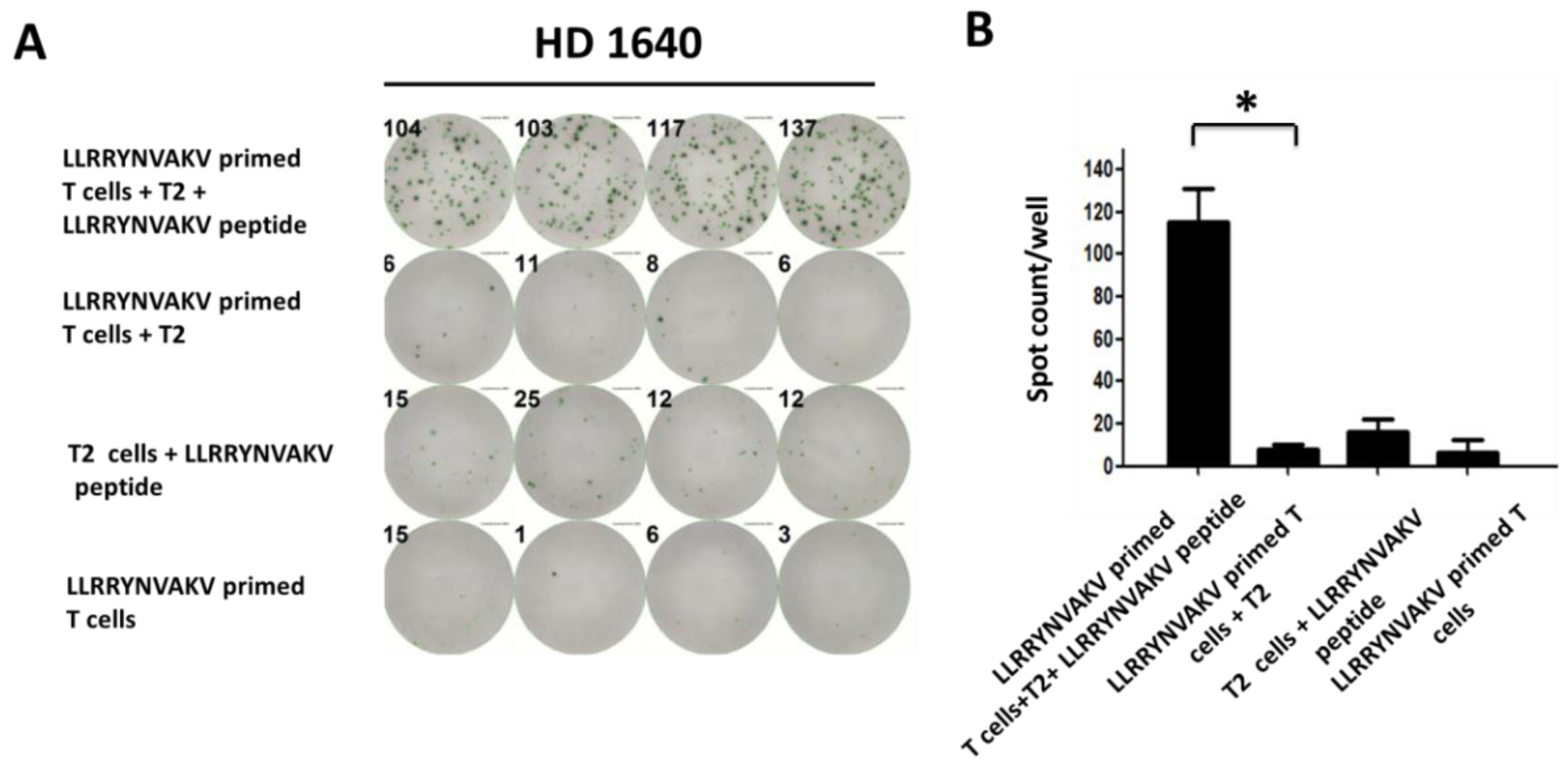 Ijms 24 01943 g003 Ijms 24 01943 g003