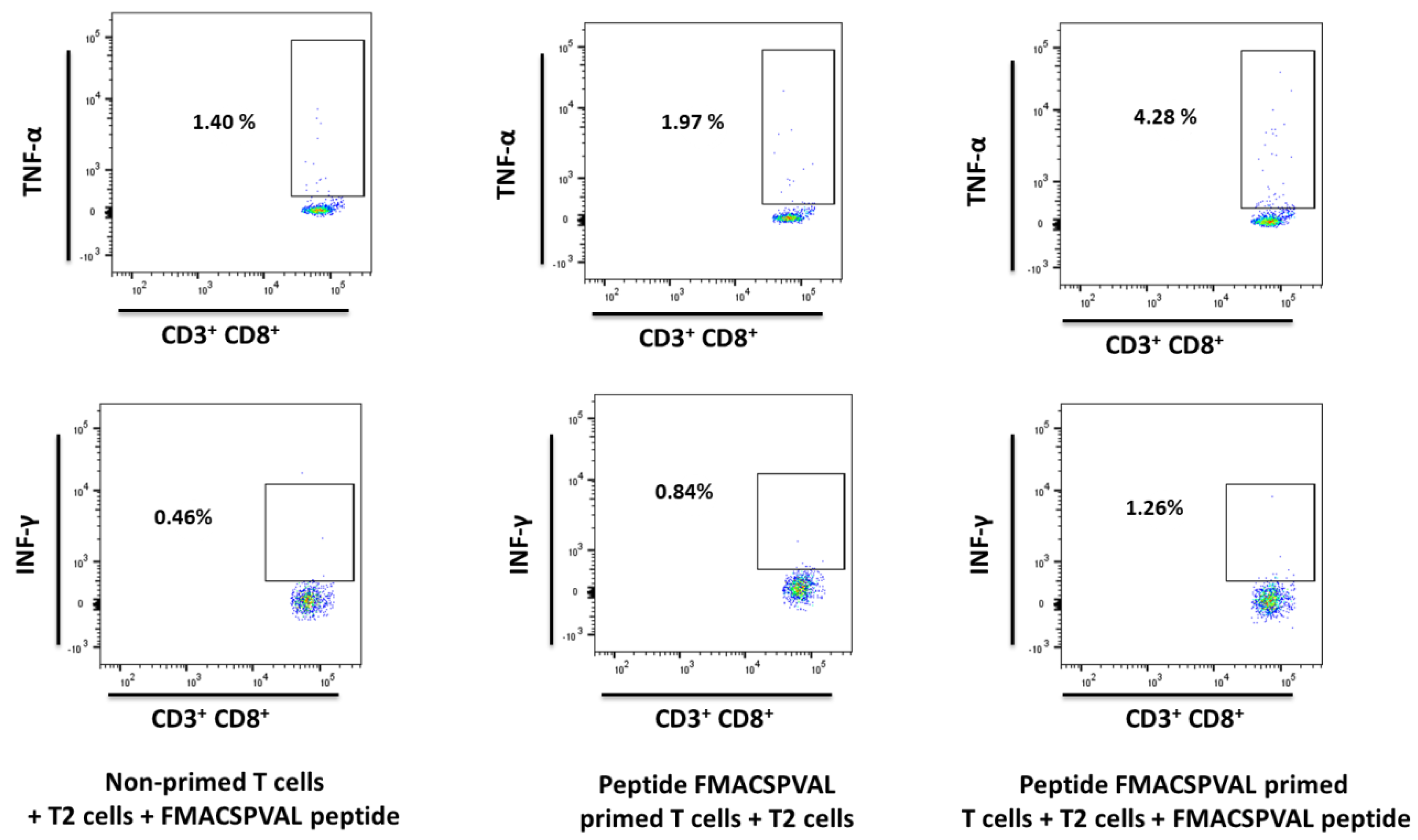 Ijms 24 01943 g006 Ijms 24 01943 g006