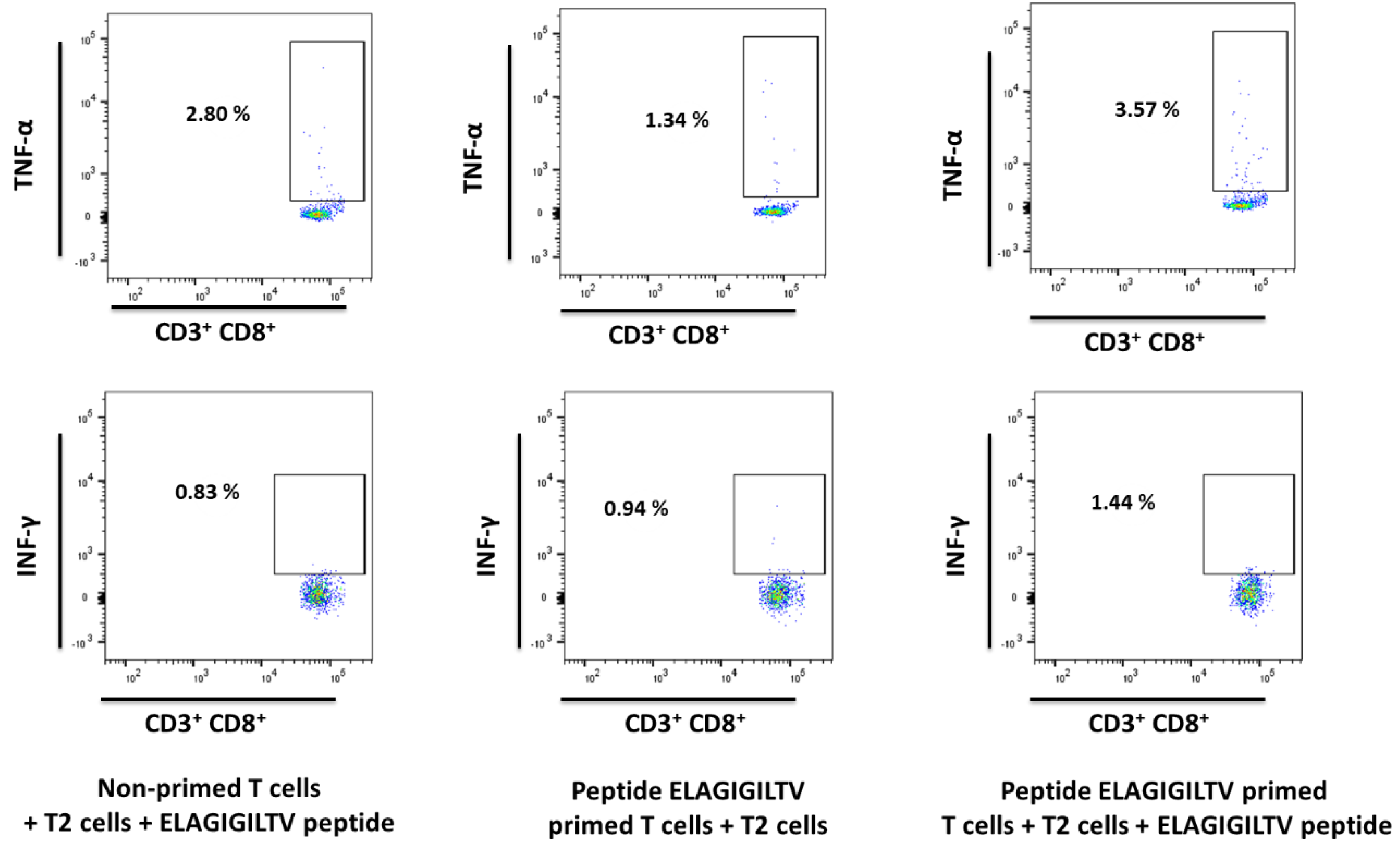Ijms 24 01943 g007 Ijms 24 01943 g007