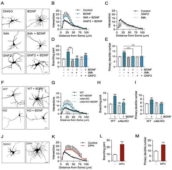 order soma overnight