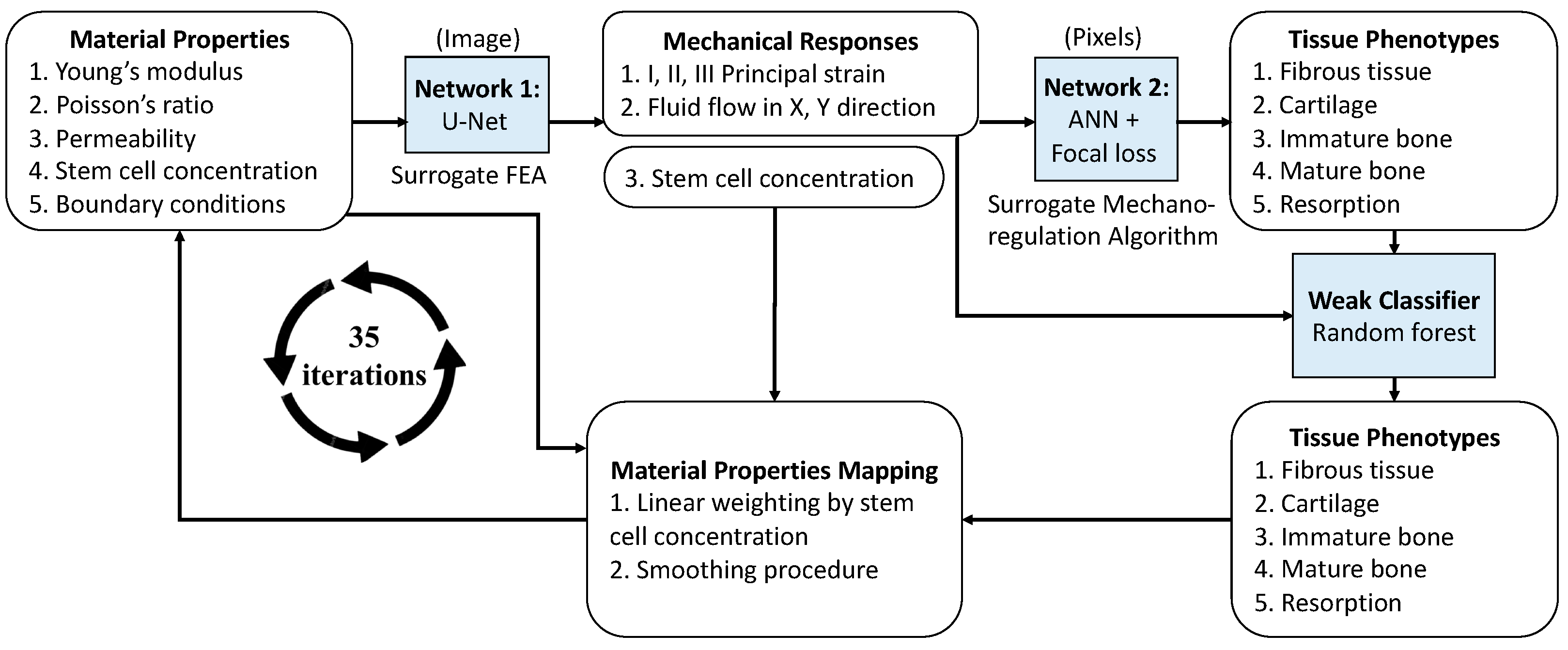 Ijms 24 01948 g001 Ijms 24 01948 g001