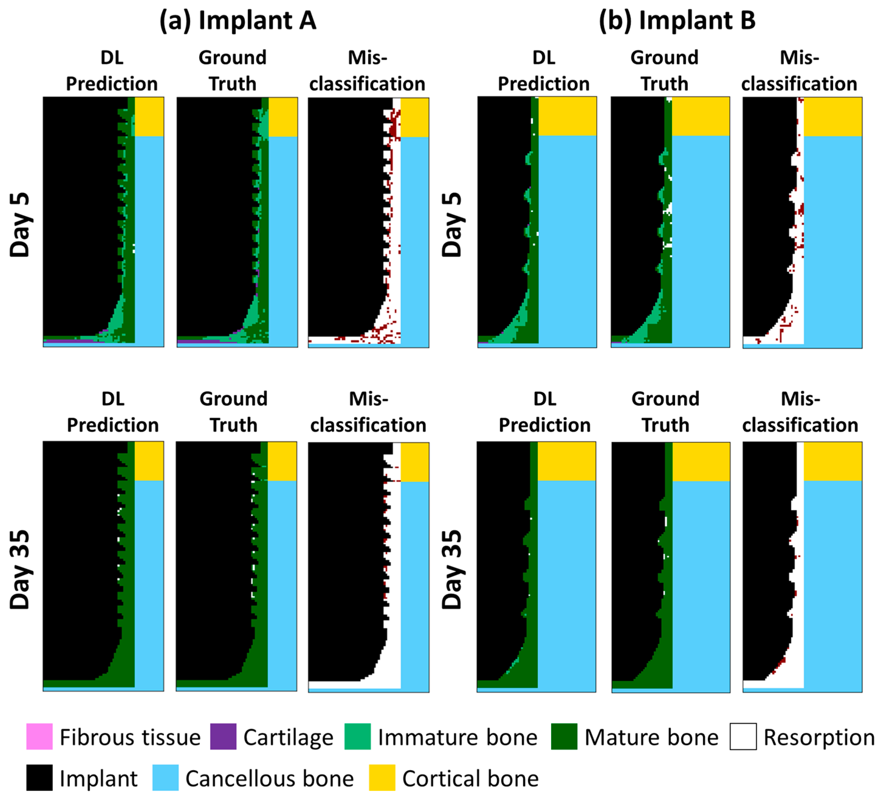 Ijms 24 01948 g004 Ijms 24 01948 g004