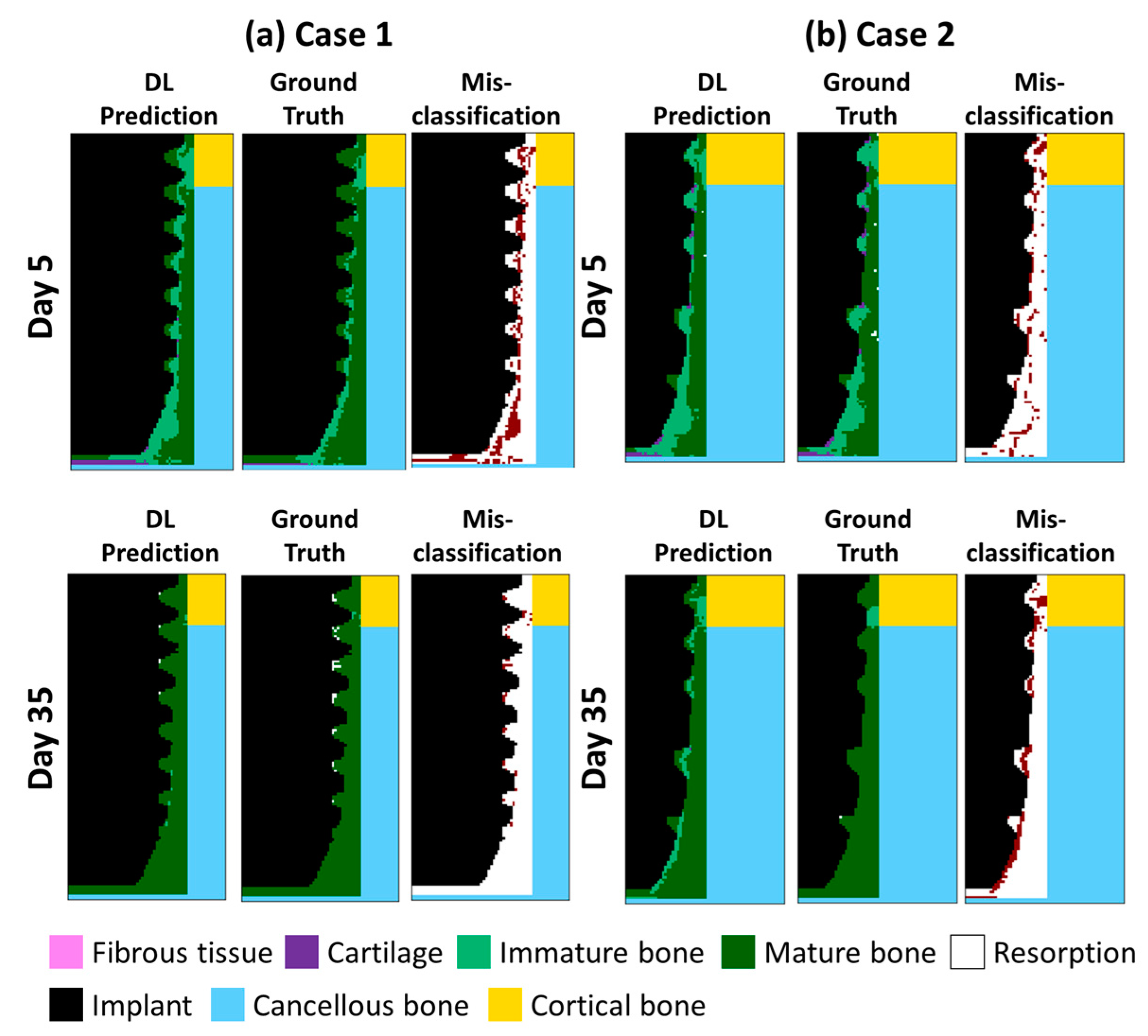 Ijms 24 01948 g008 Ijms 24 01948 g008